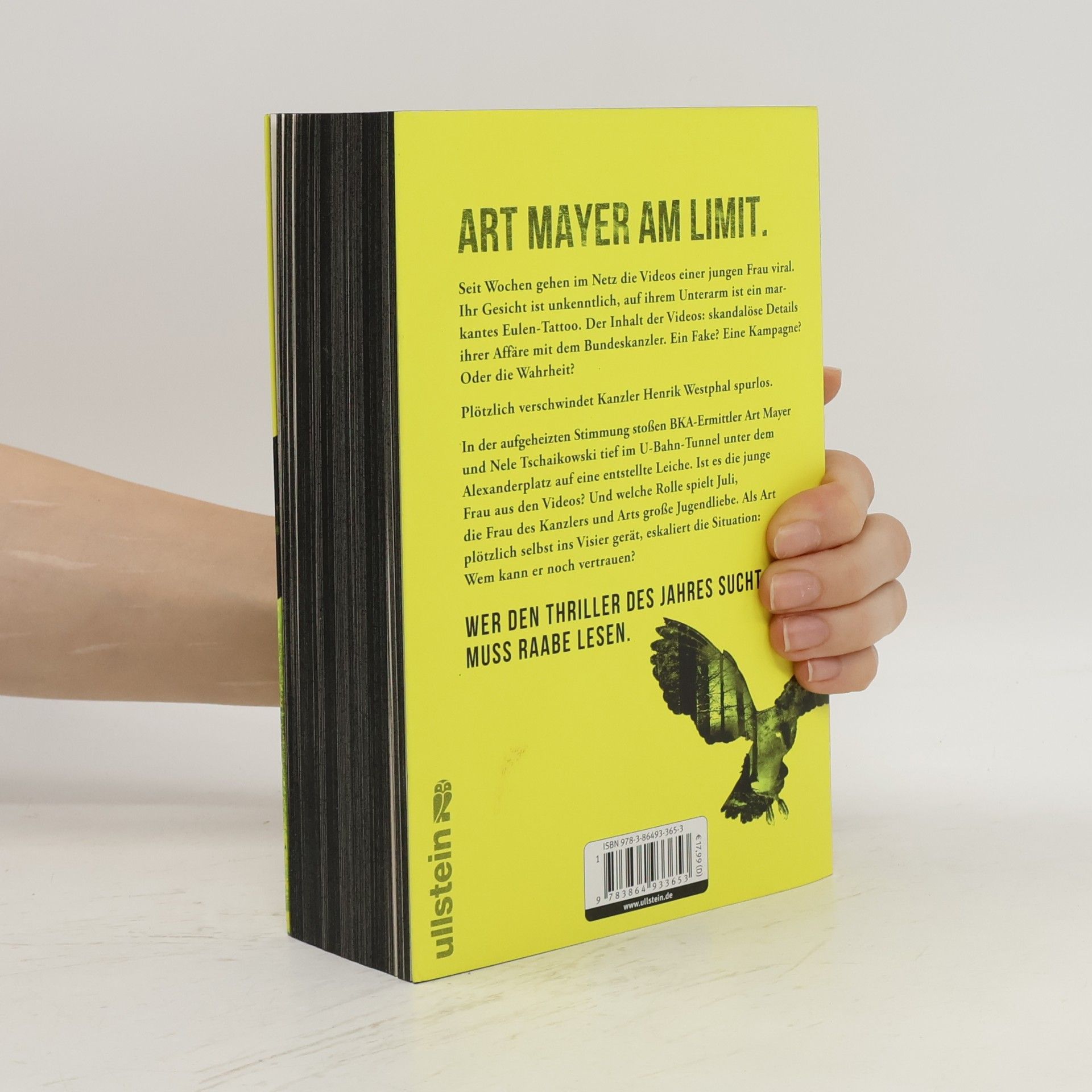 Marc Raabe Art Mayer-Serie - 4: Im Morgengrauen
