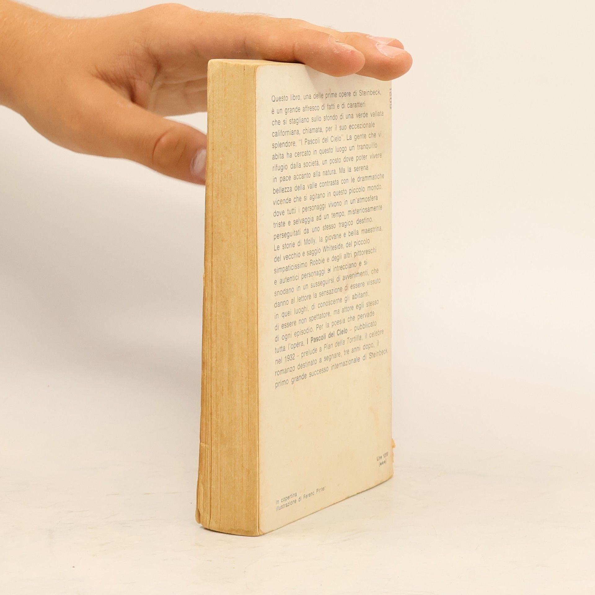 John Steinbeck I Pascoli del Cielo