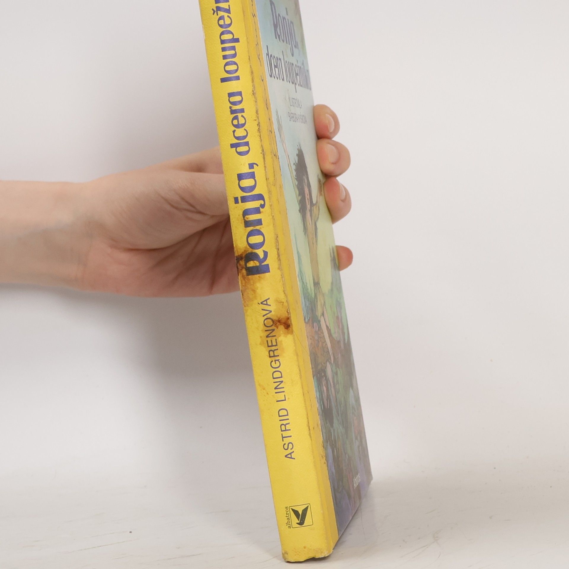 Astrid Lindgren Ronja, dcera loupežníka