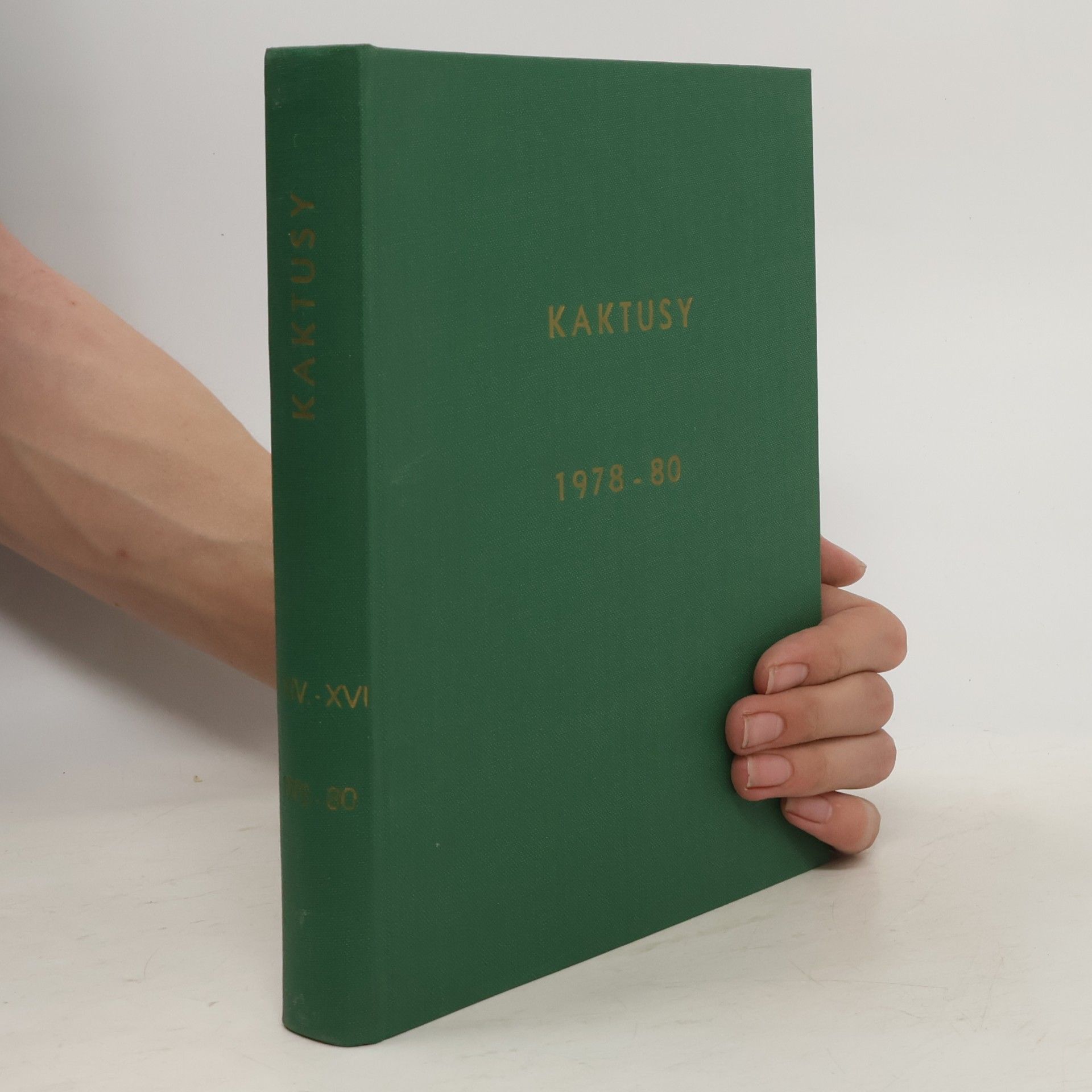 kolektiv Kaktusy 1978-80