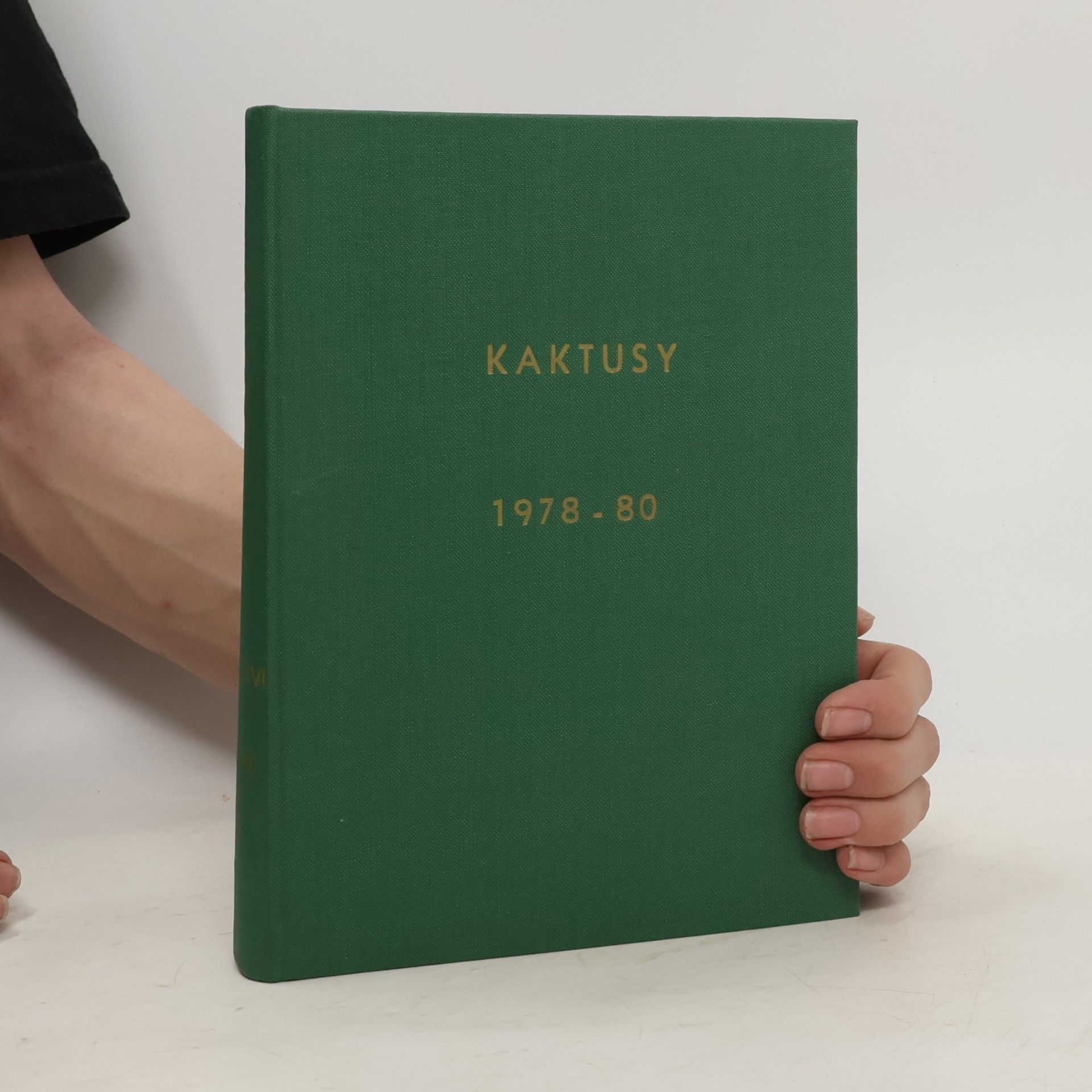 kolektiv Kaktusy 1978-80