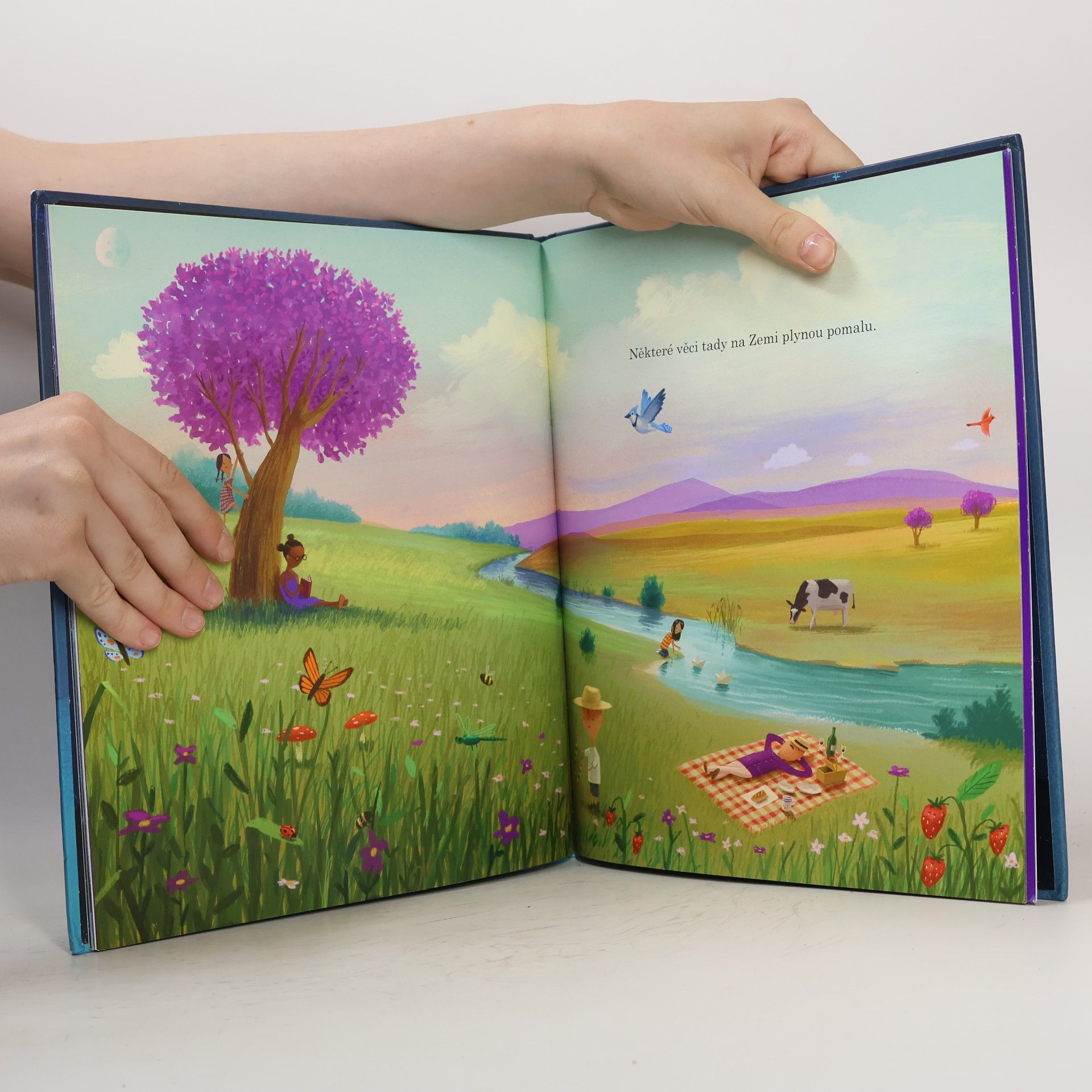 Oliver Jeffers Tady jsme doma