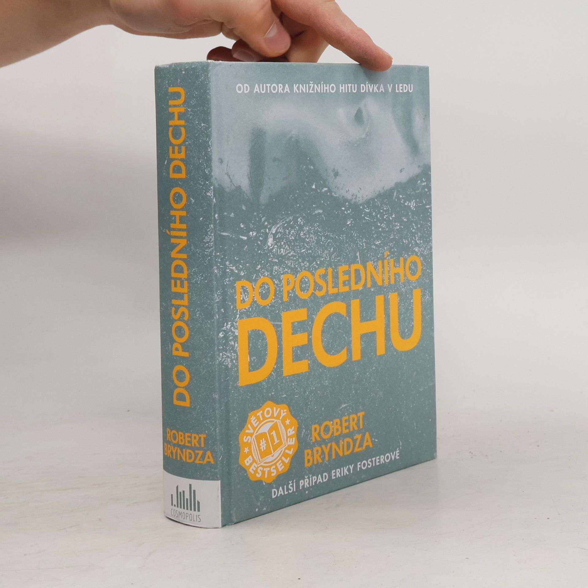 Robert Bryndza Do posledního dechu