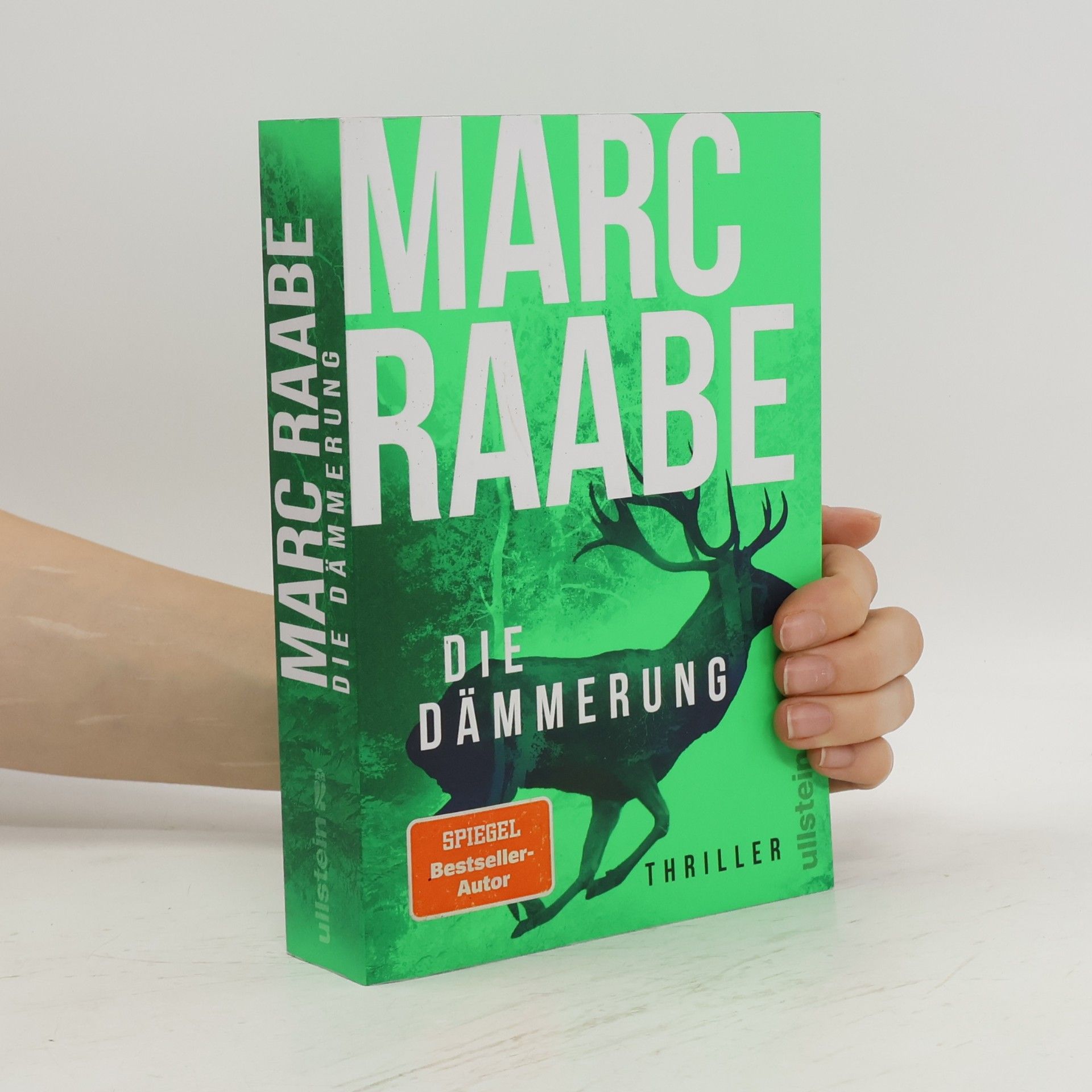Marc Raabe Die Dämmerung