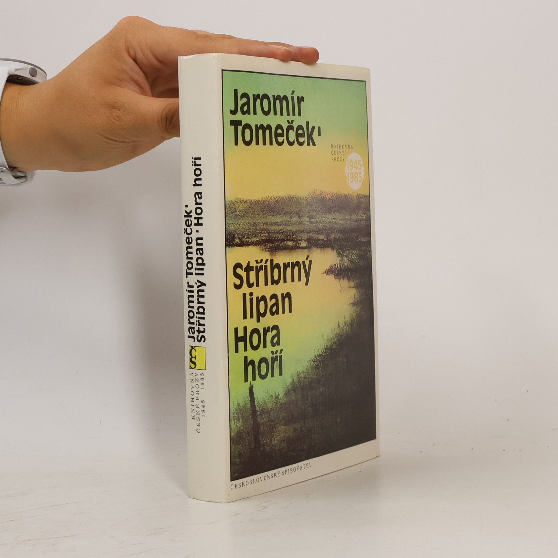 Jaromír Tomeček Stříbrný lipan. Hora hoří.