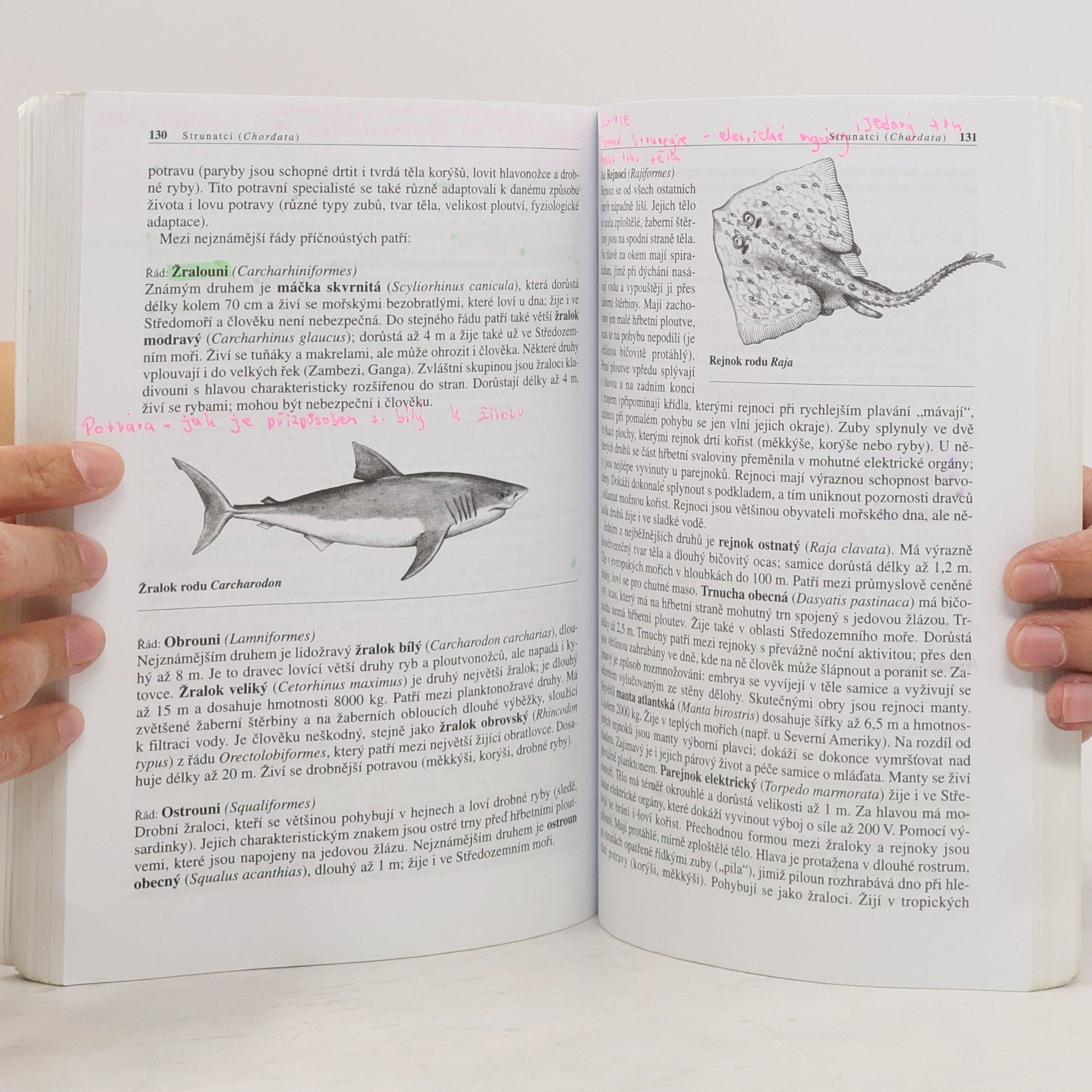 Miroslav Švátora Biologie živočichů pro gymnázia