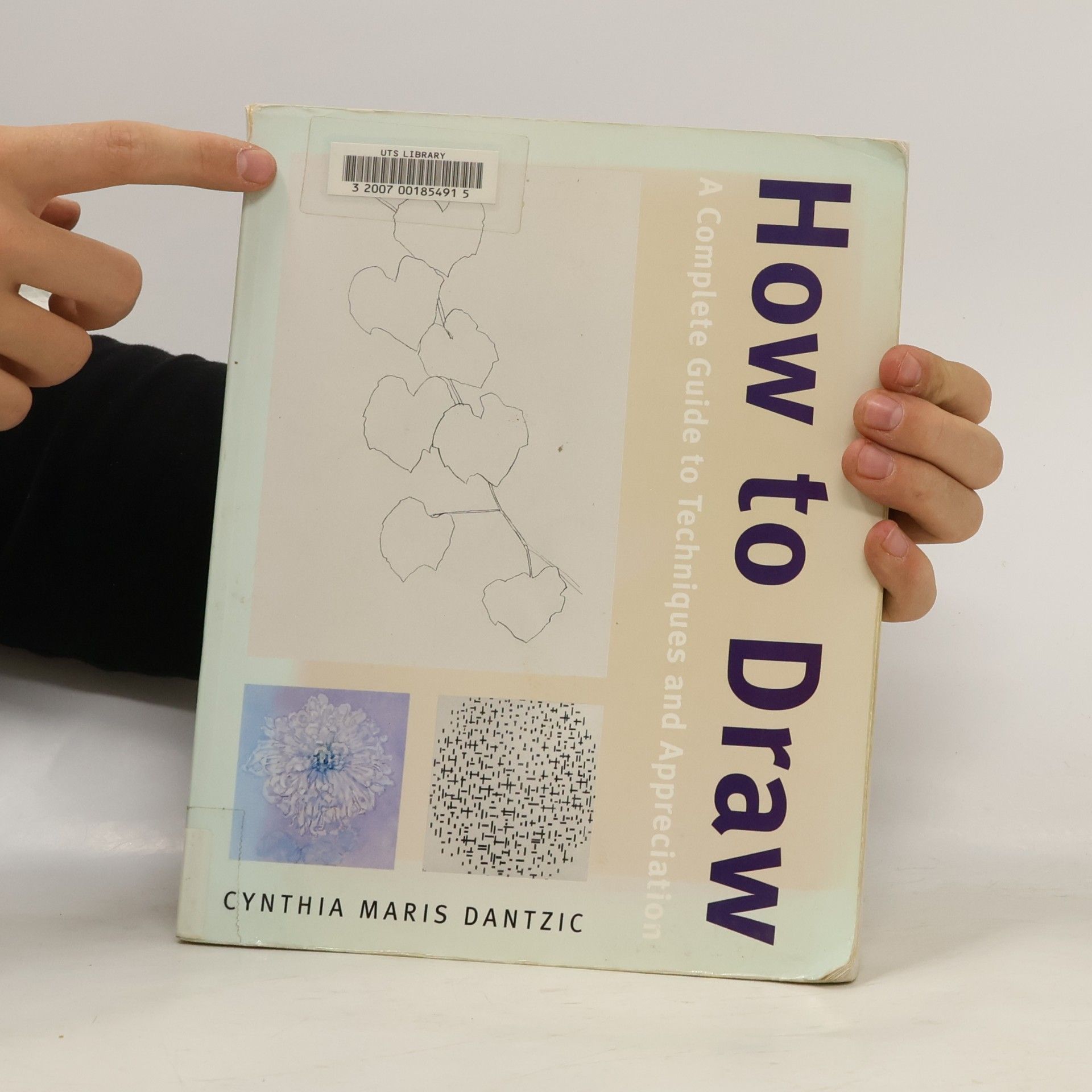 Cynthia Maris Dantzic How to Draw