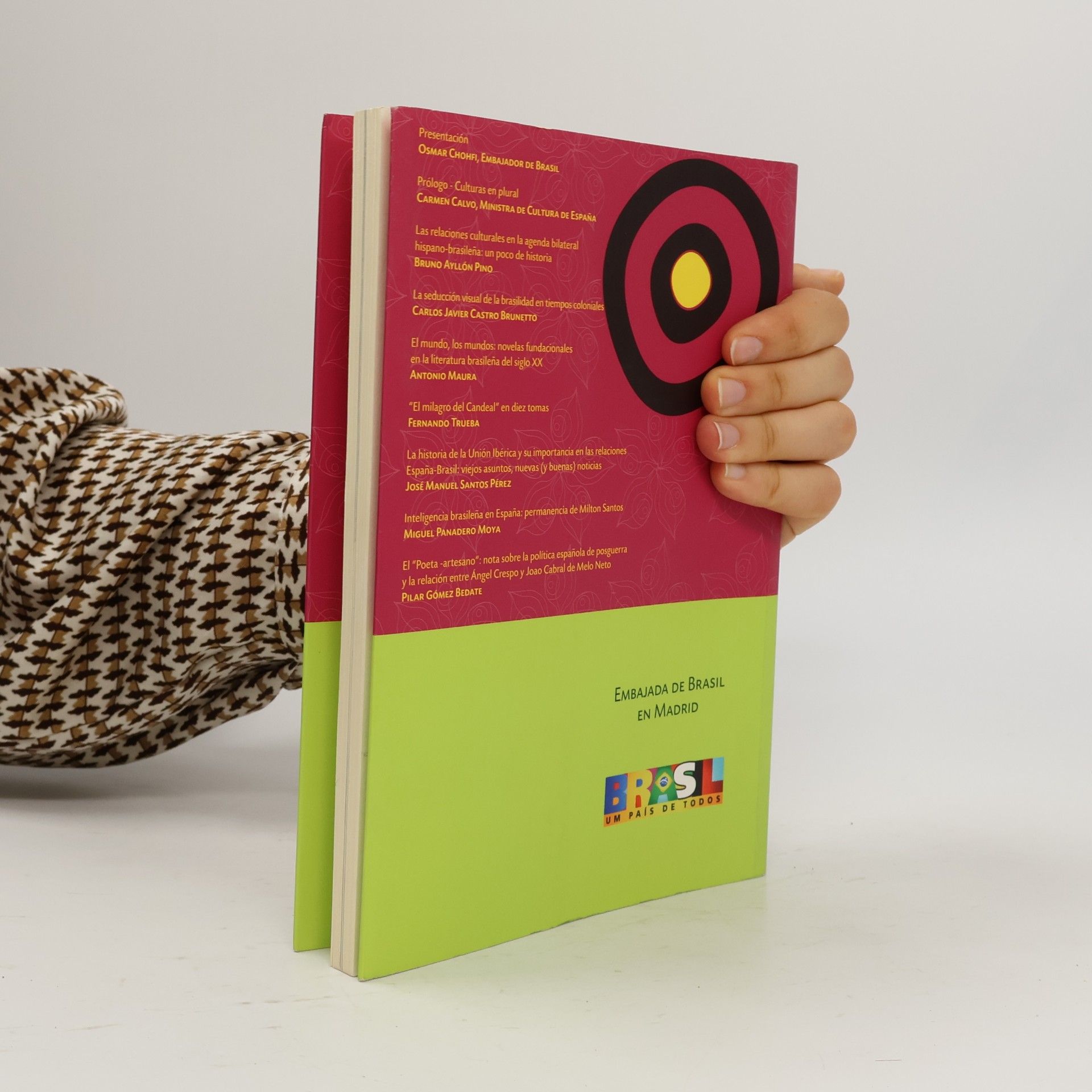 Kolektiv autorů Revista de Cultura Brasilena. La Mirada Espanola Hacia. Brasil