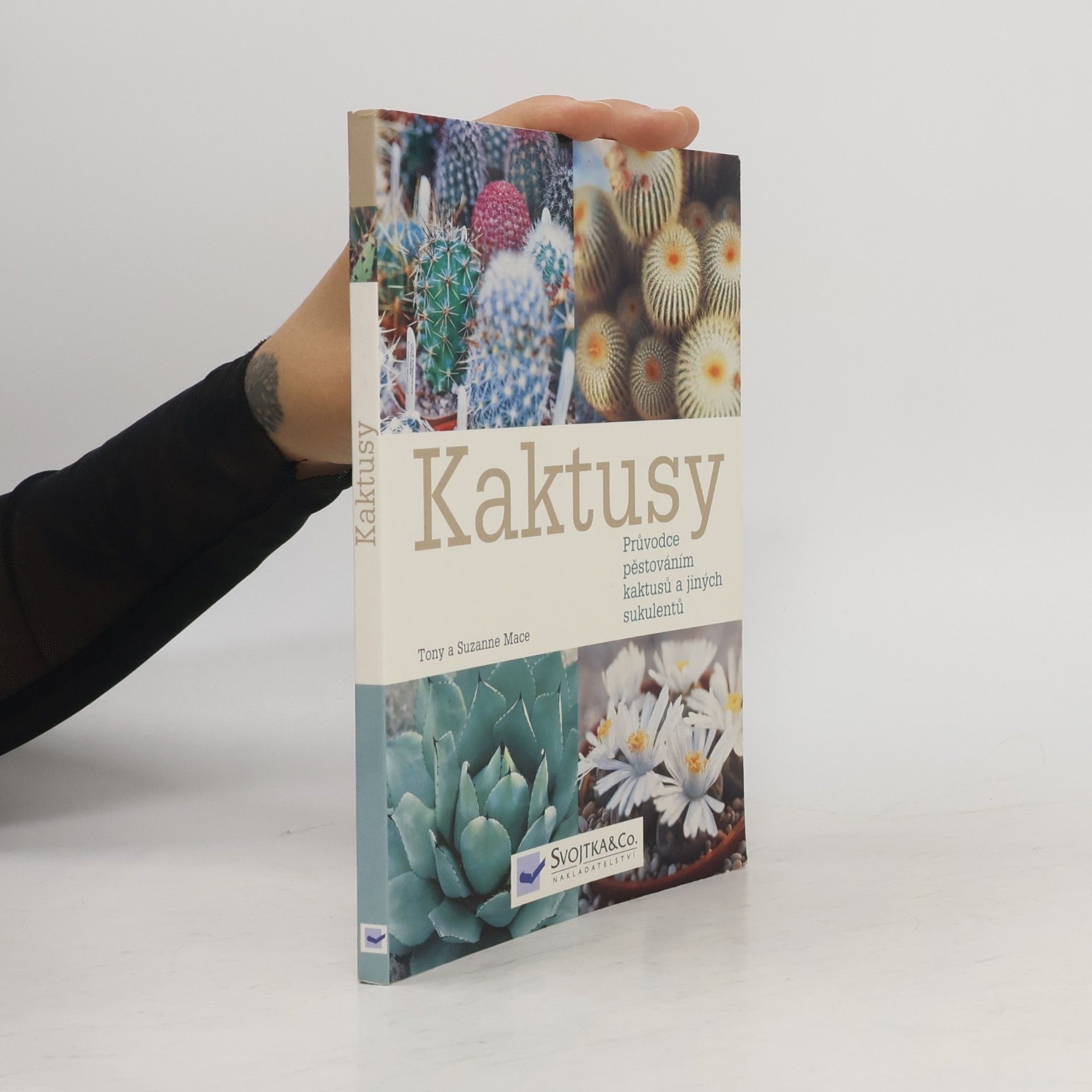 Suzanne Mace Kaktusy : průvodce pěstováním kaktusů a jiných sukulentů