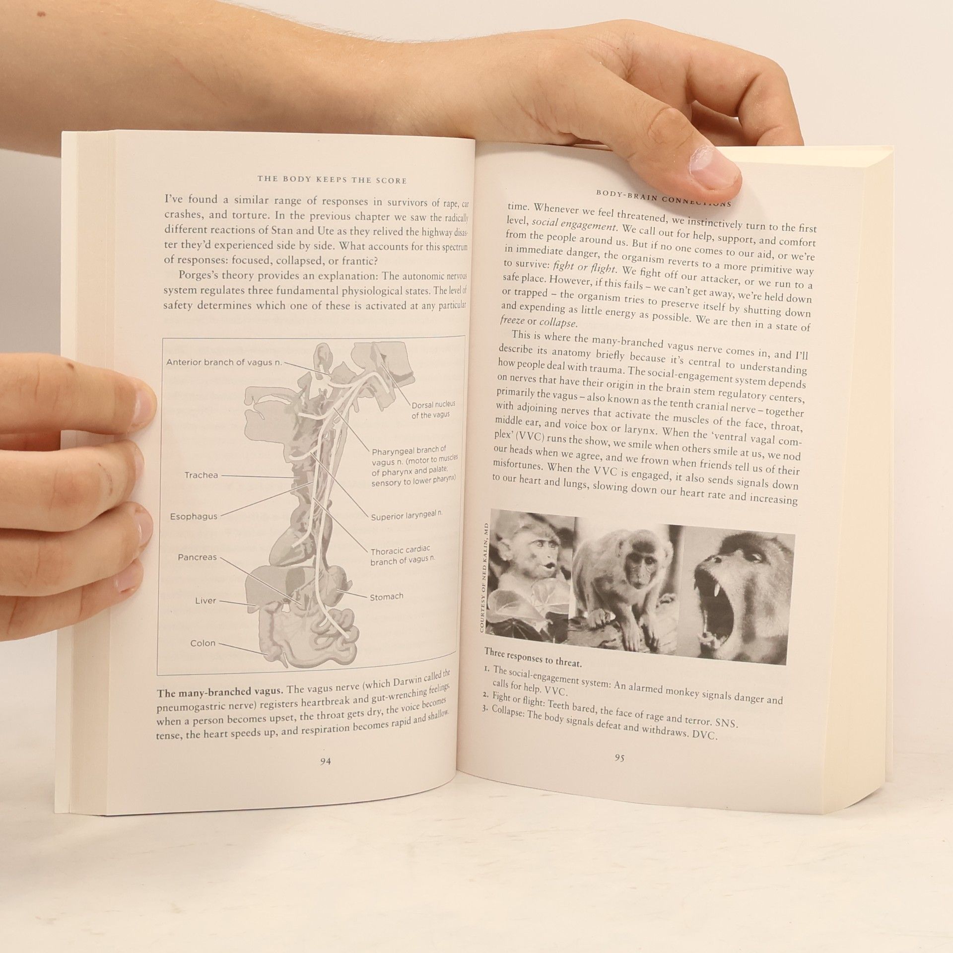 Bessel van der Kolk The Body Keeps The Score