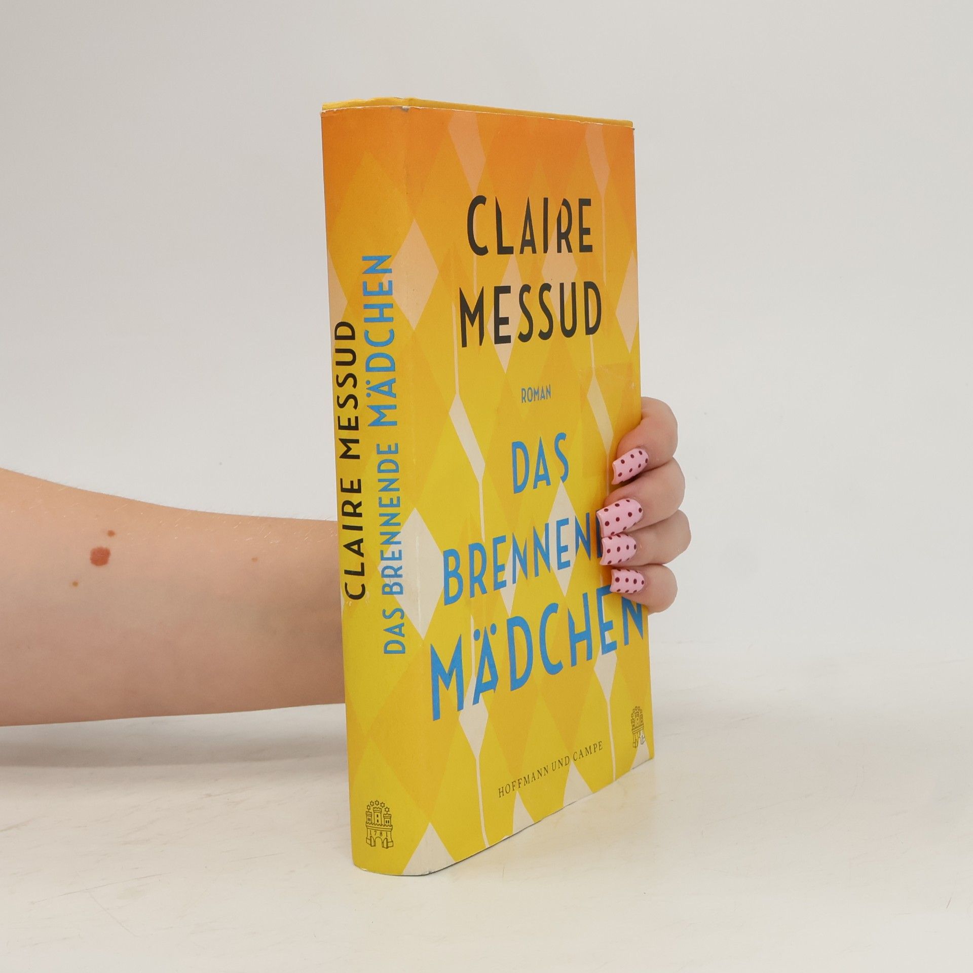 Claire Messud Das brennende Mädchen