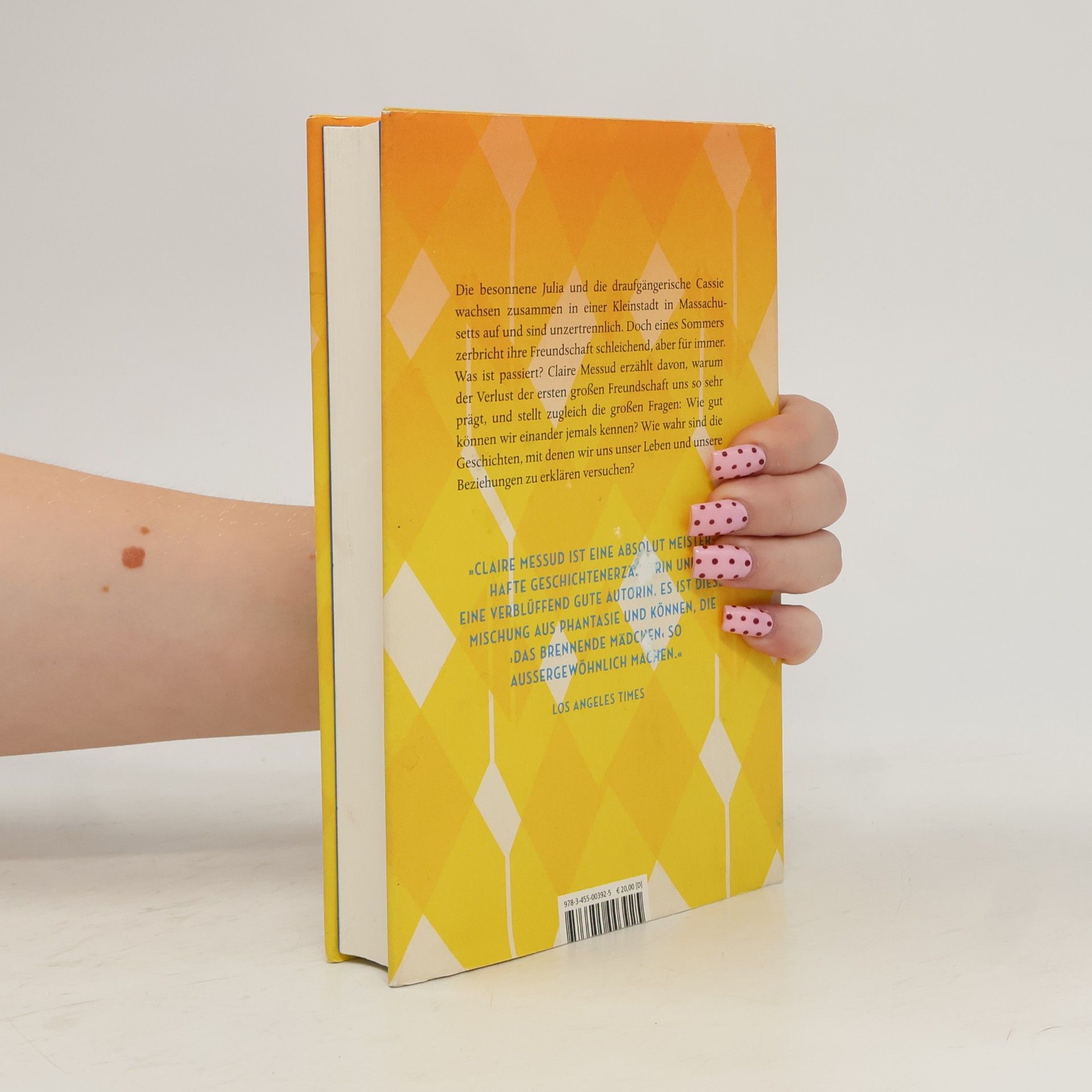 Claire Messud Das brennende Mädchen