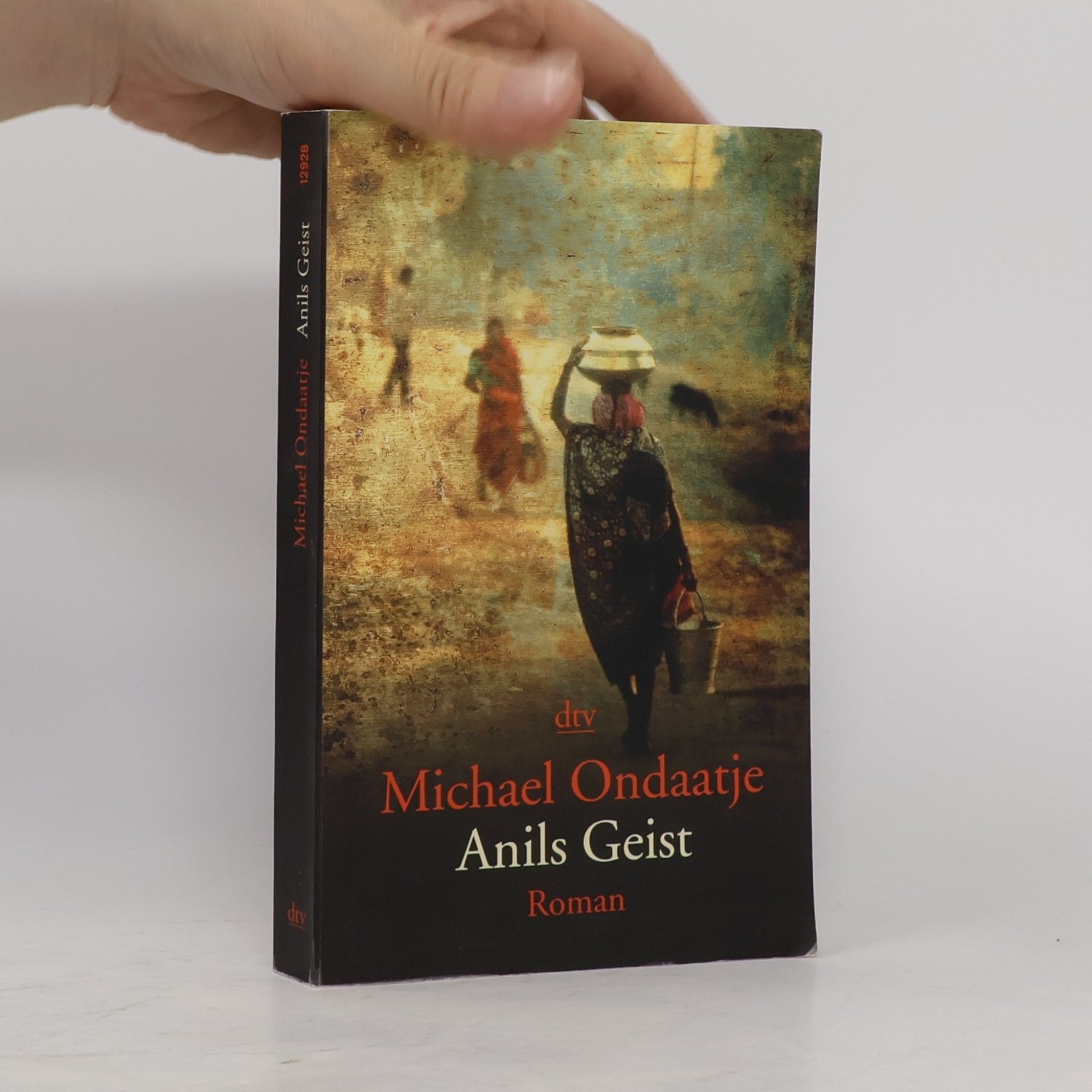 Michael Ondaatje Anils Geist