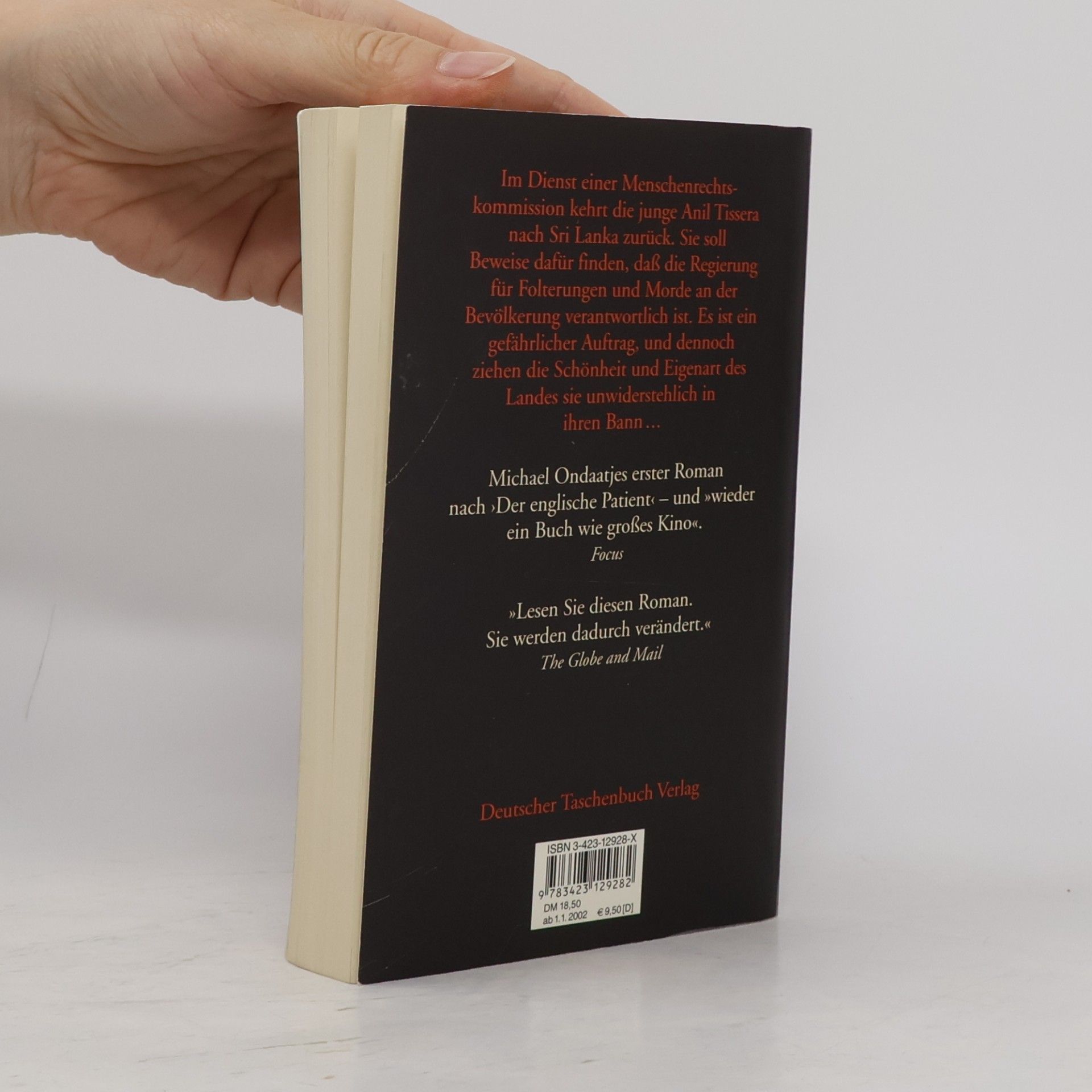Michael Ondaatje Anils Geist