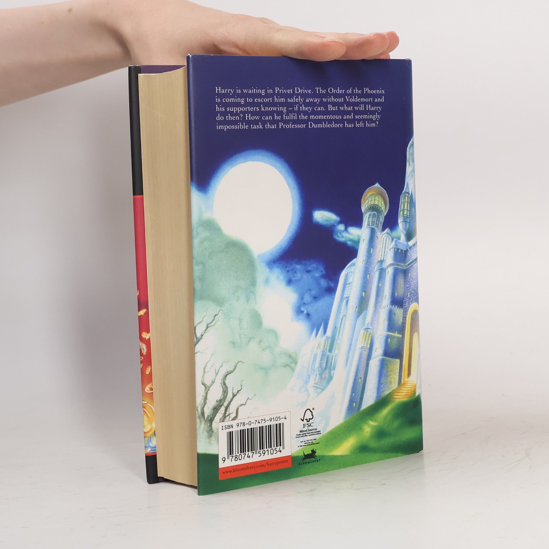 Joanne K. Rowlingová Harry Potter and the Deathly Hallows