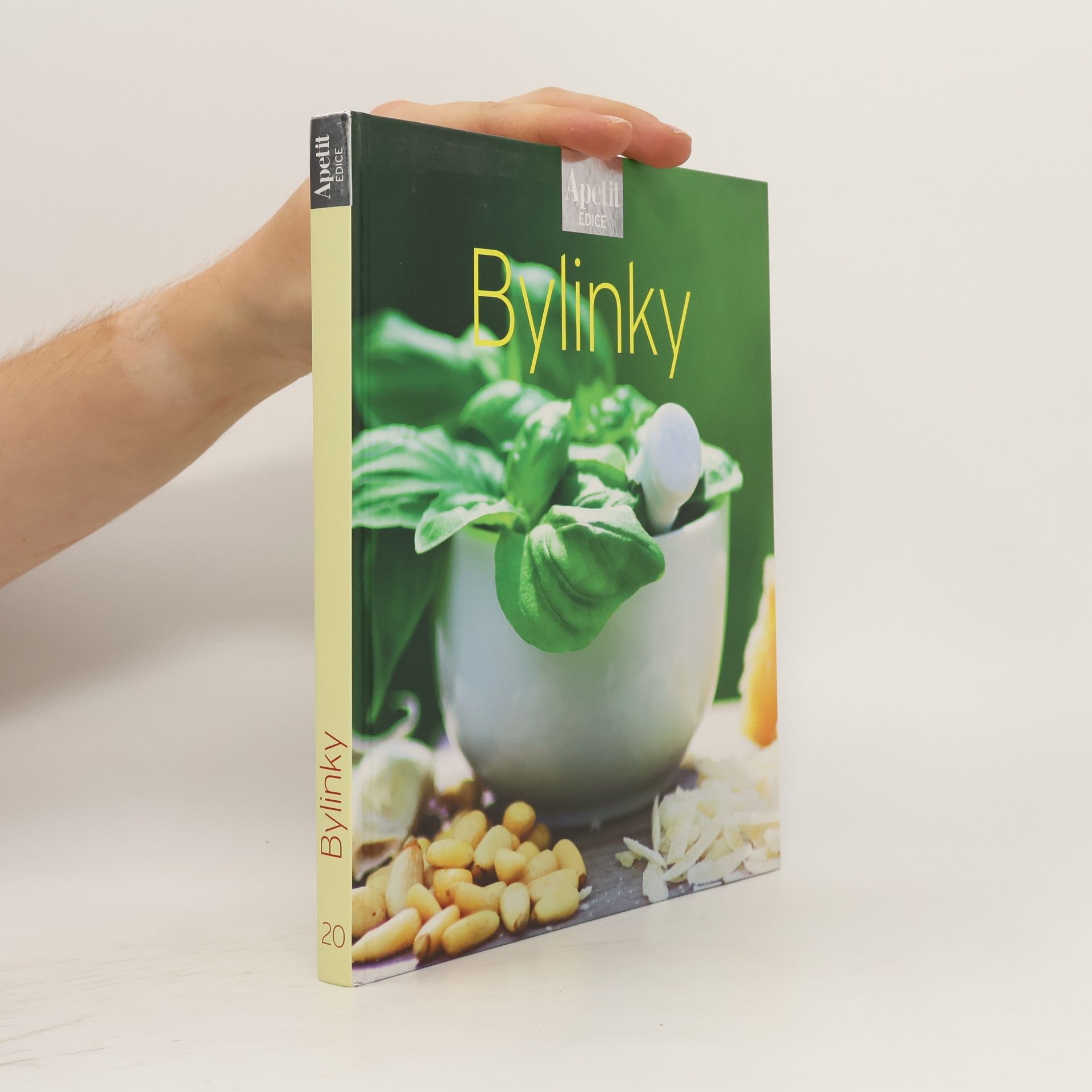 Autores varios Bylinky