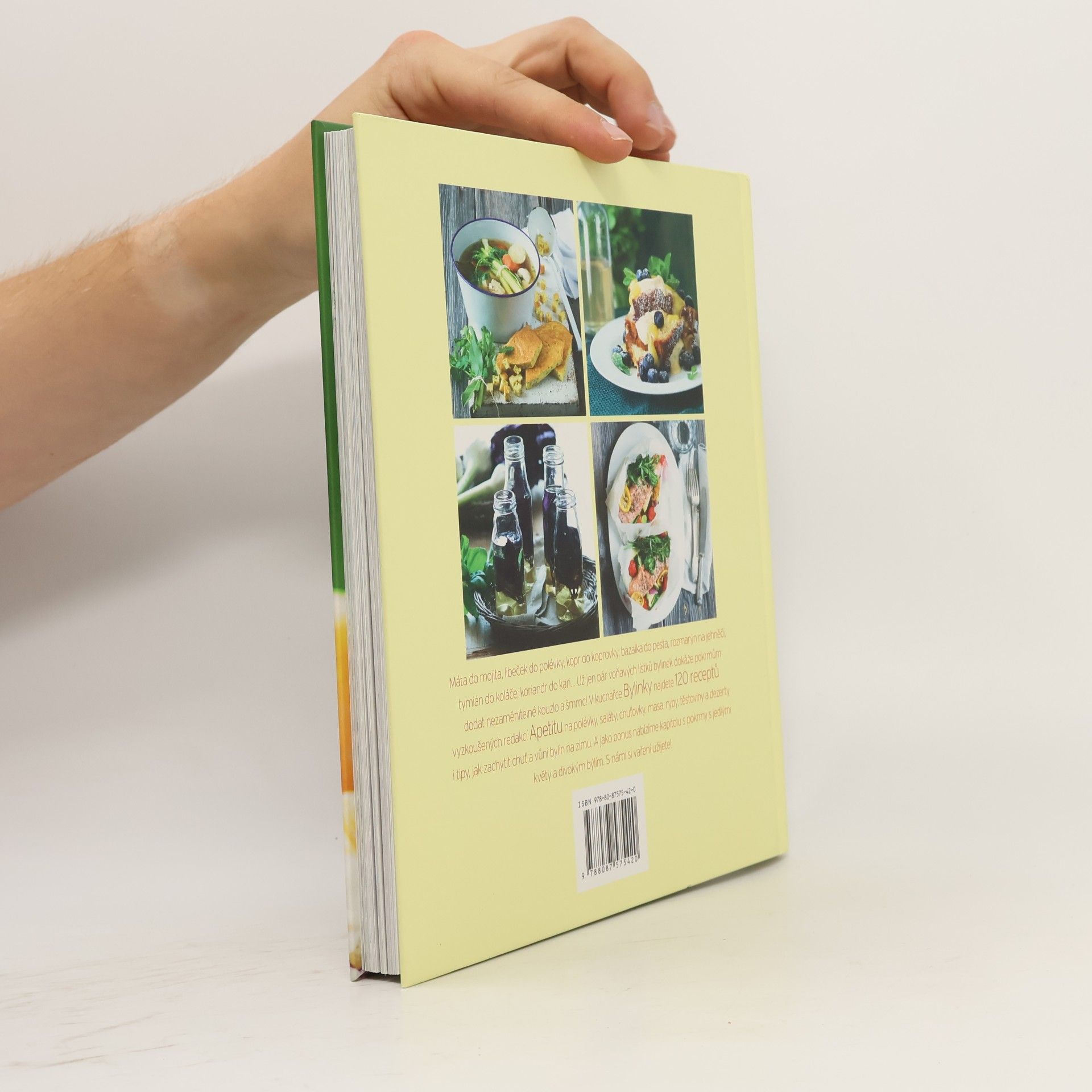 Autores varios Bylinky