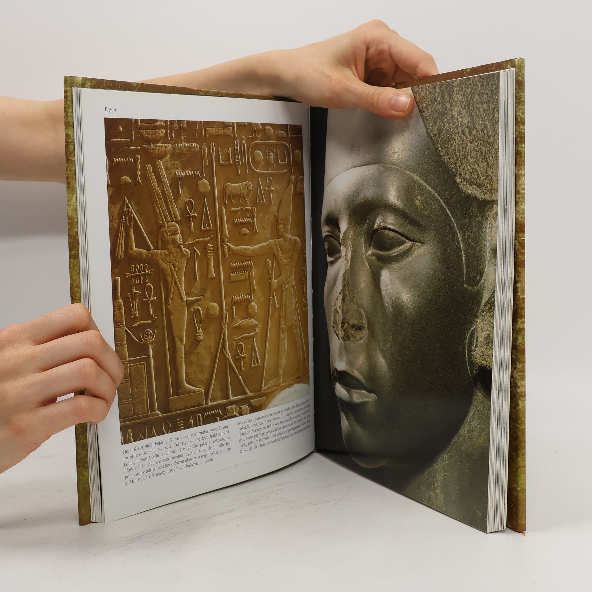 Robert Hamilton Egypt: Kráľovstvo faraónov