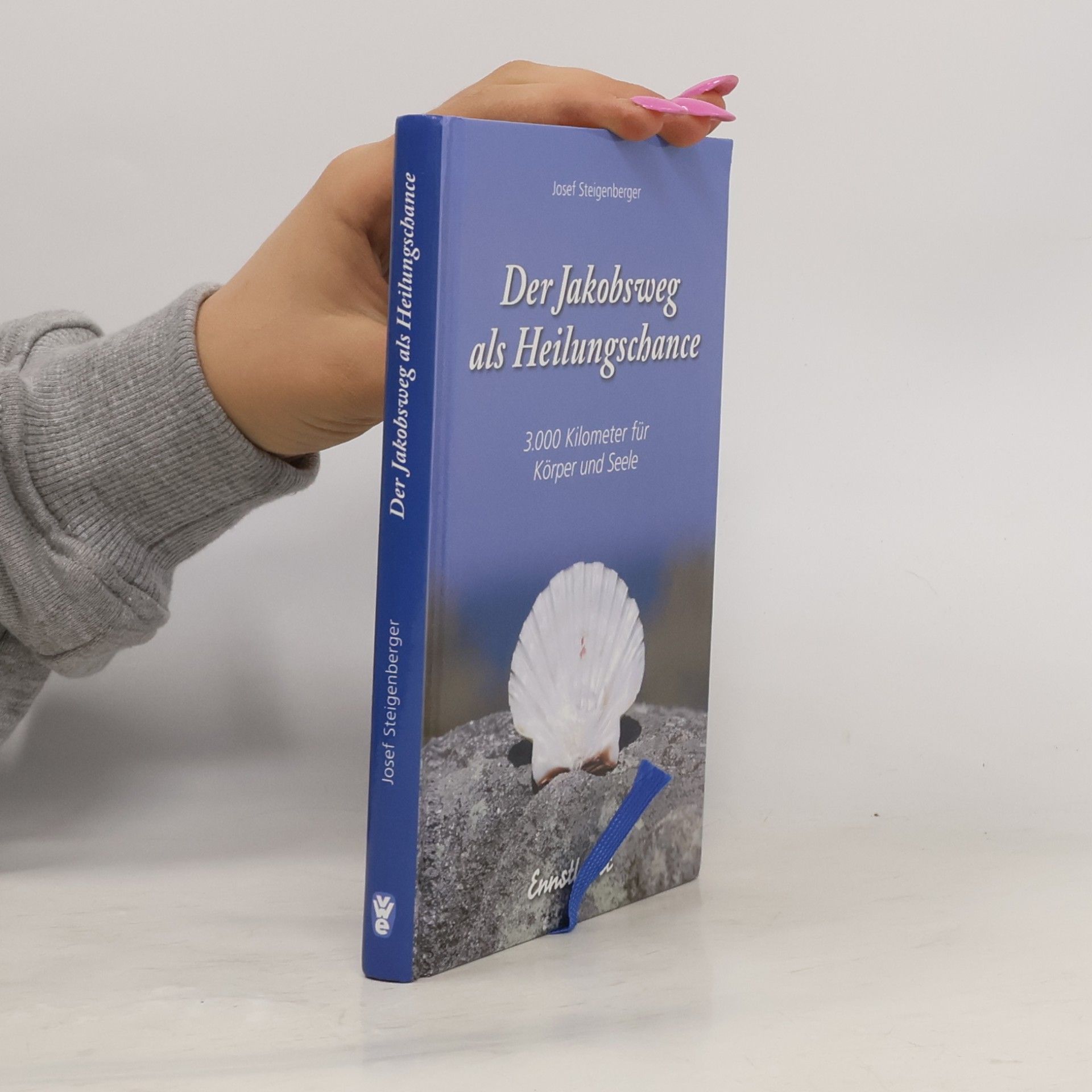 Josef Steigenberger Der Jakobsweg als Heilungschance