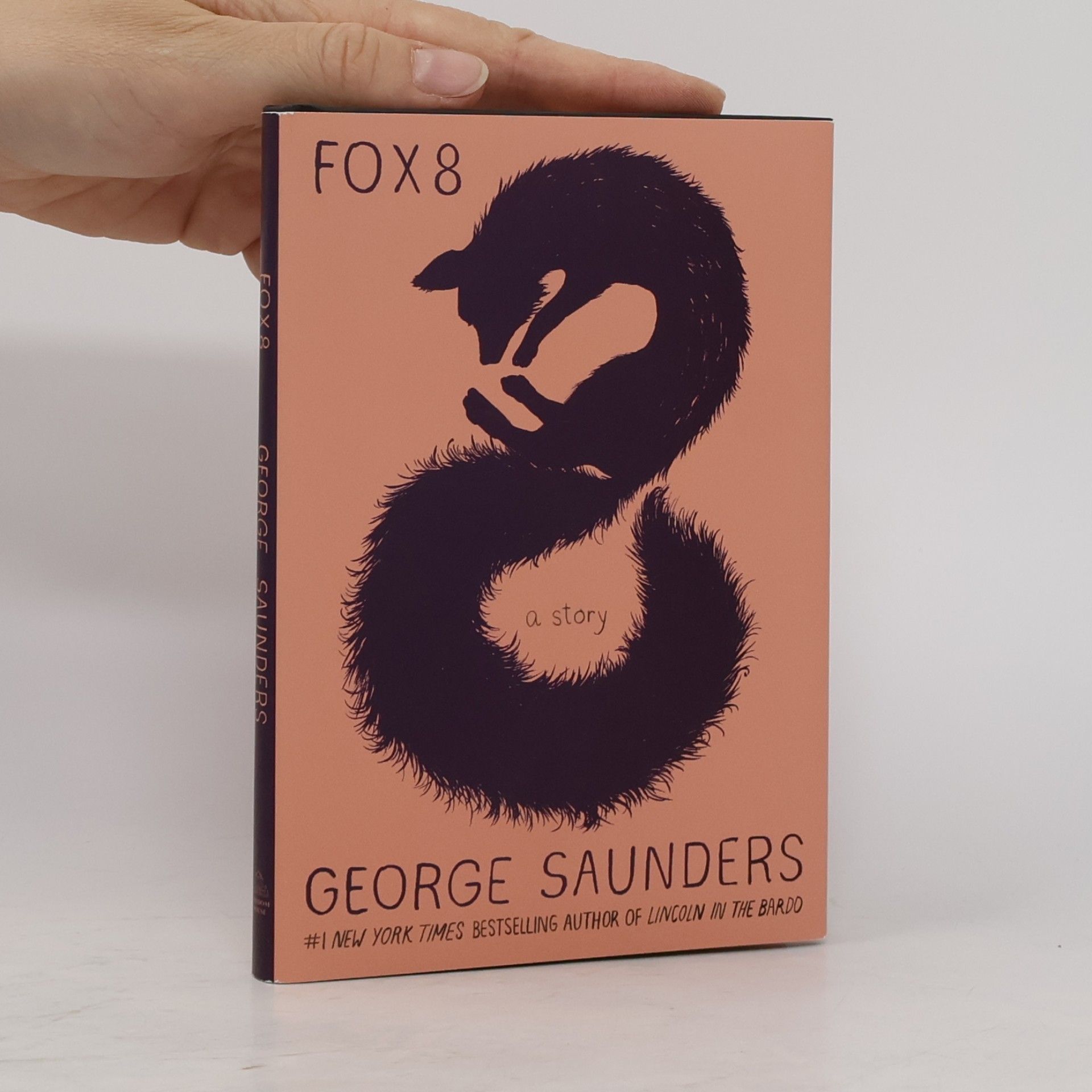 George Saunders Fox 8
