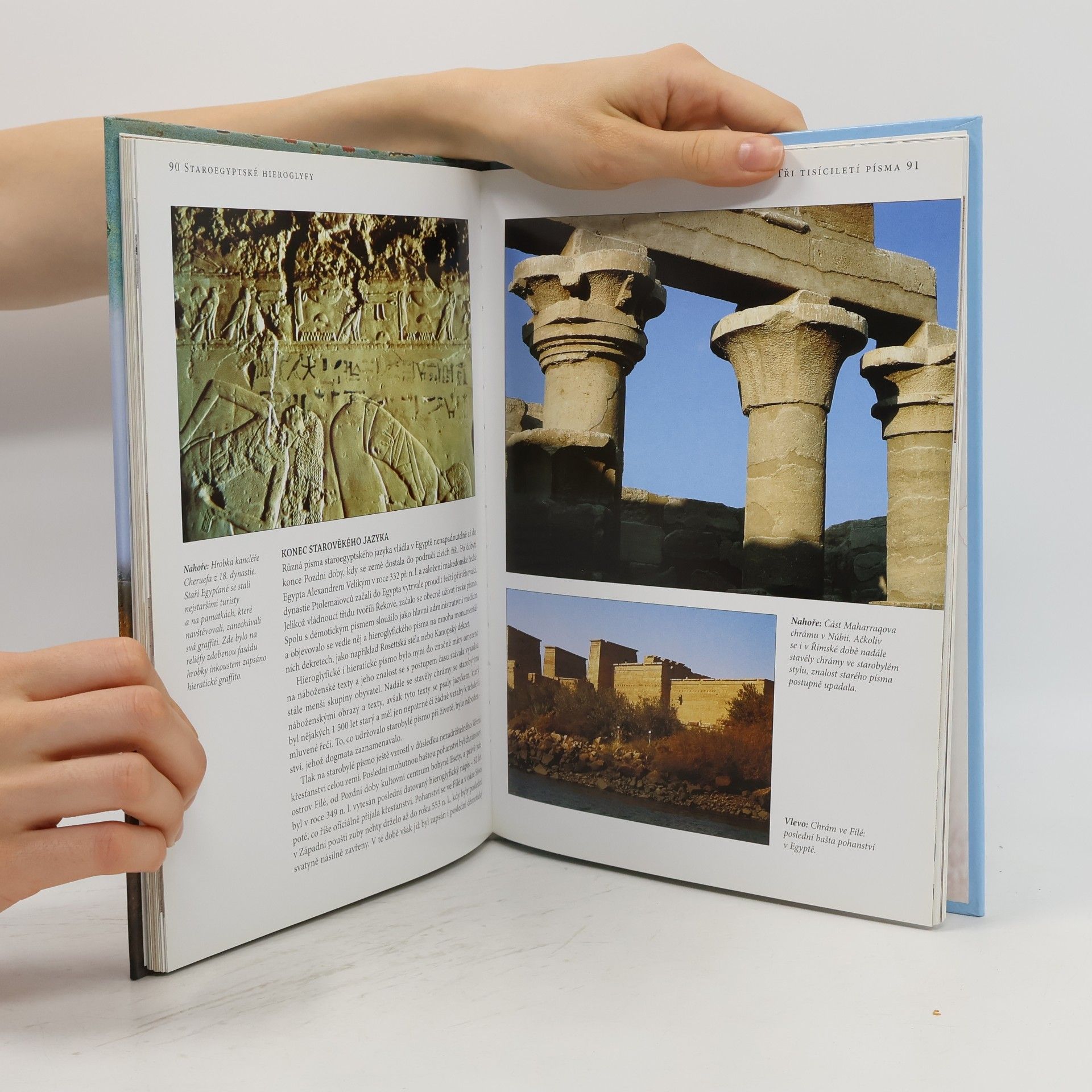 Aidan Dodson Staroegyptské hieroglyfy