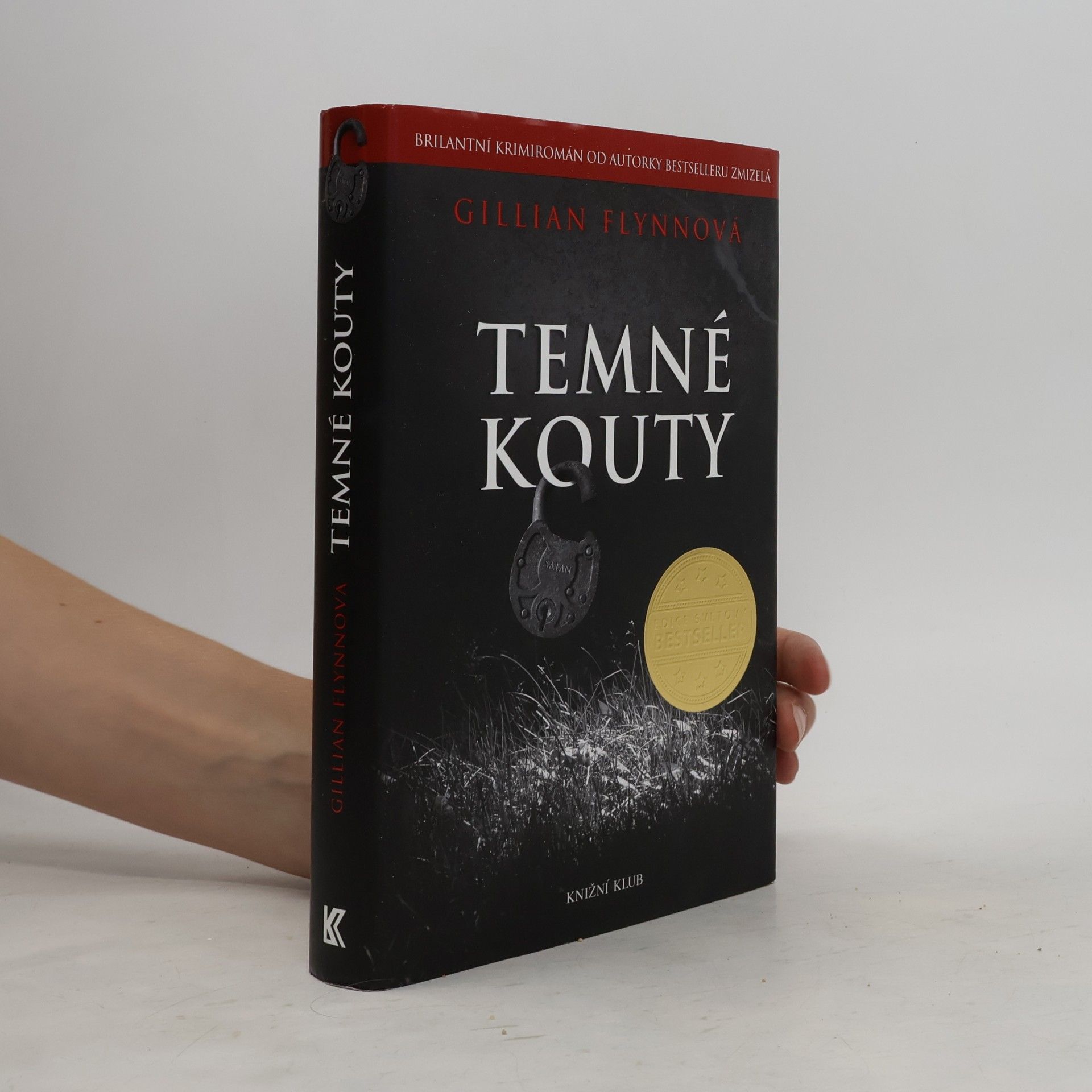 Gillian Flynn Temné kouty