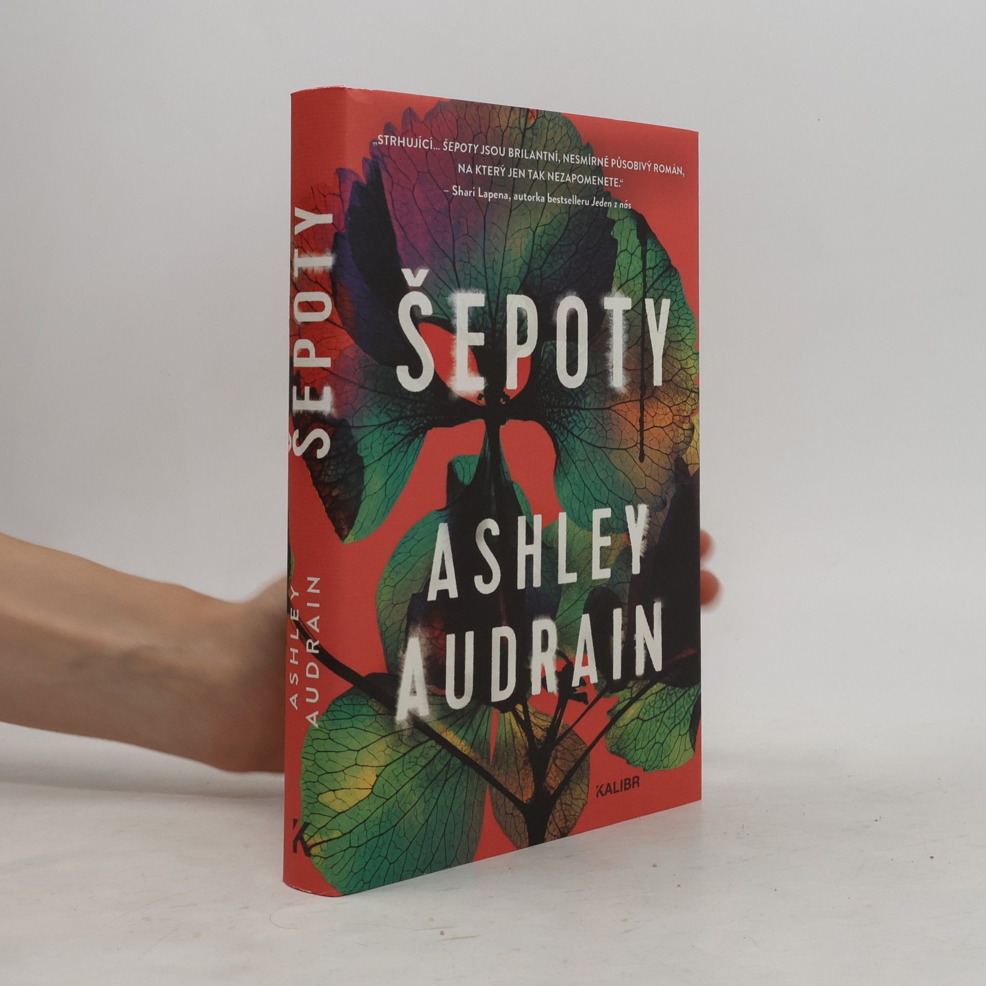Ashley Audrain Šepoty