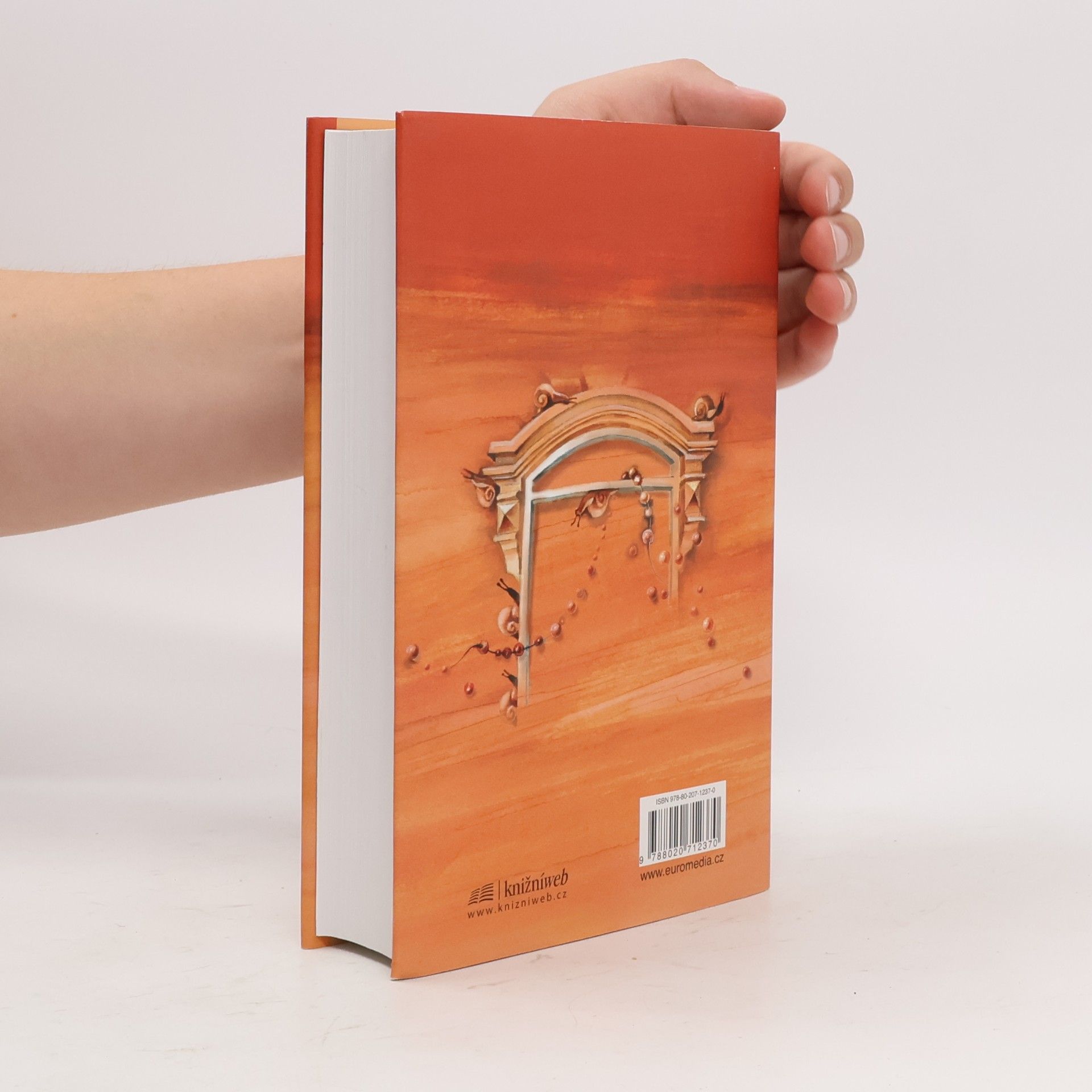 John Irving Rok vdovou