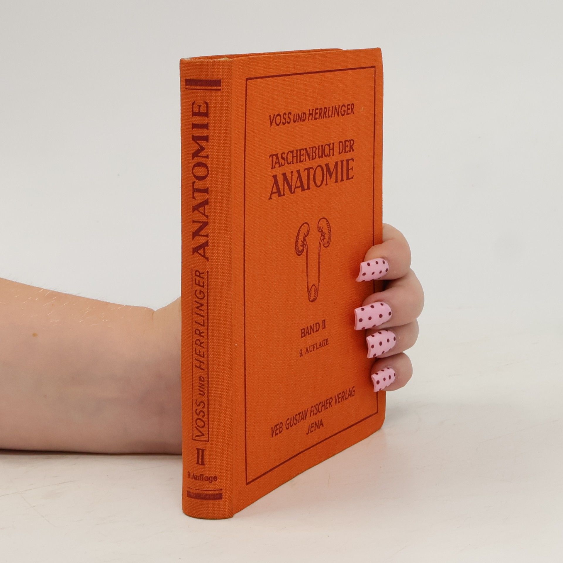 Hermann Voss Taschenbuch der Anatomie. Band II