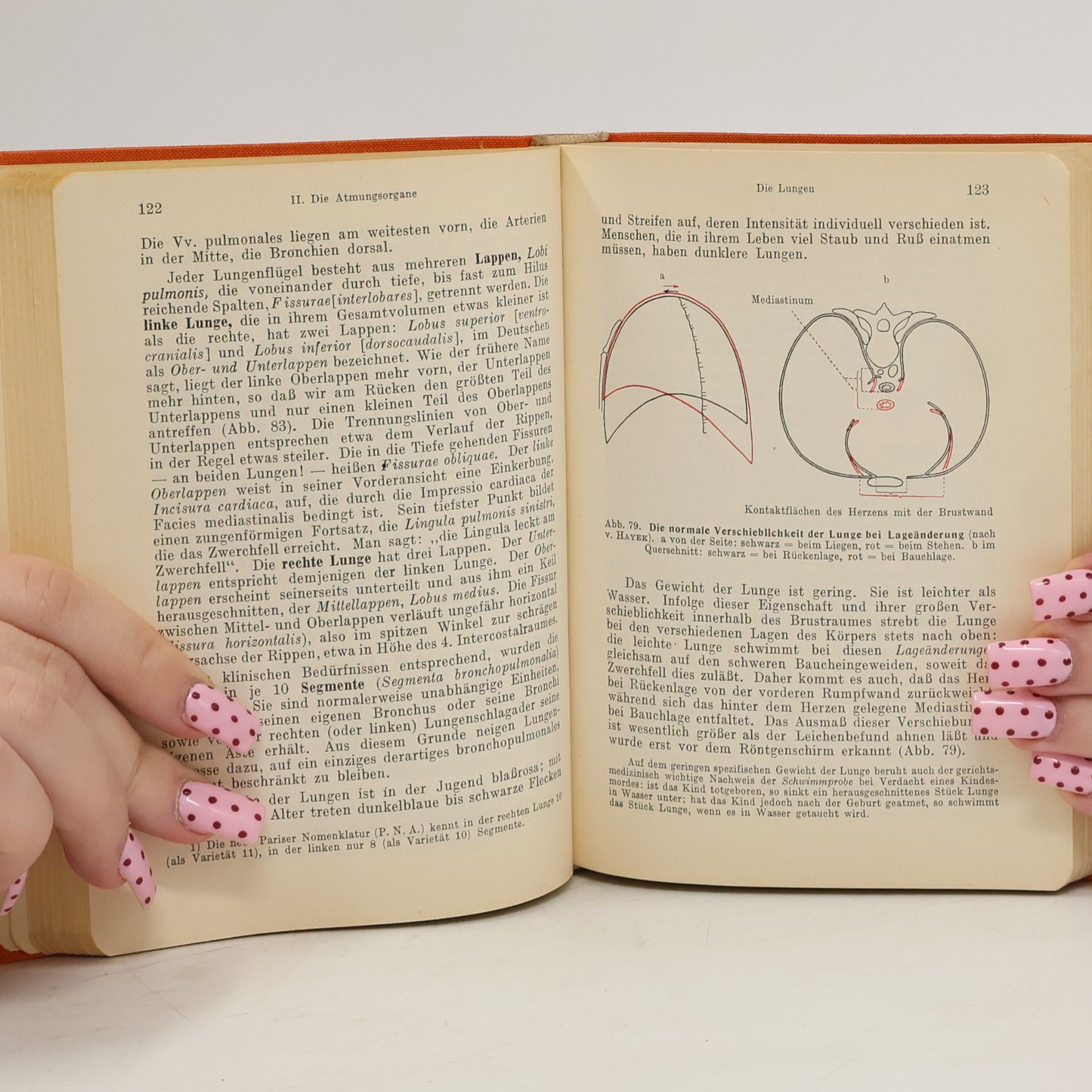 Hermann Voss Taschenbuch der Anatomie. Band II