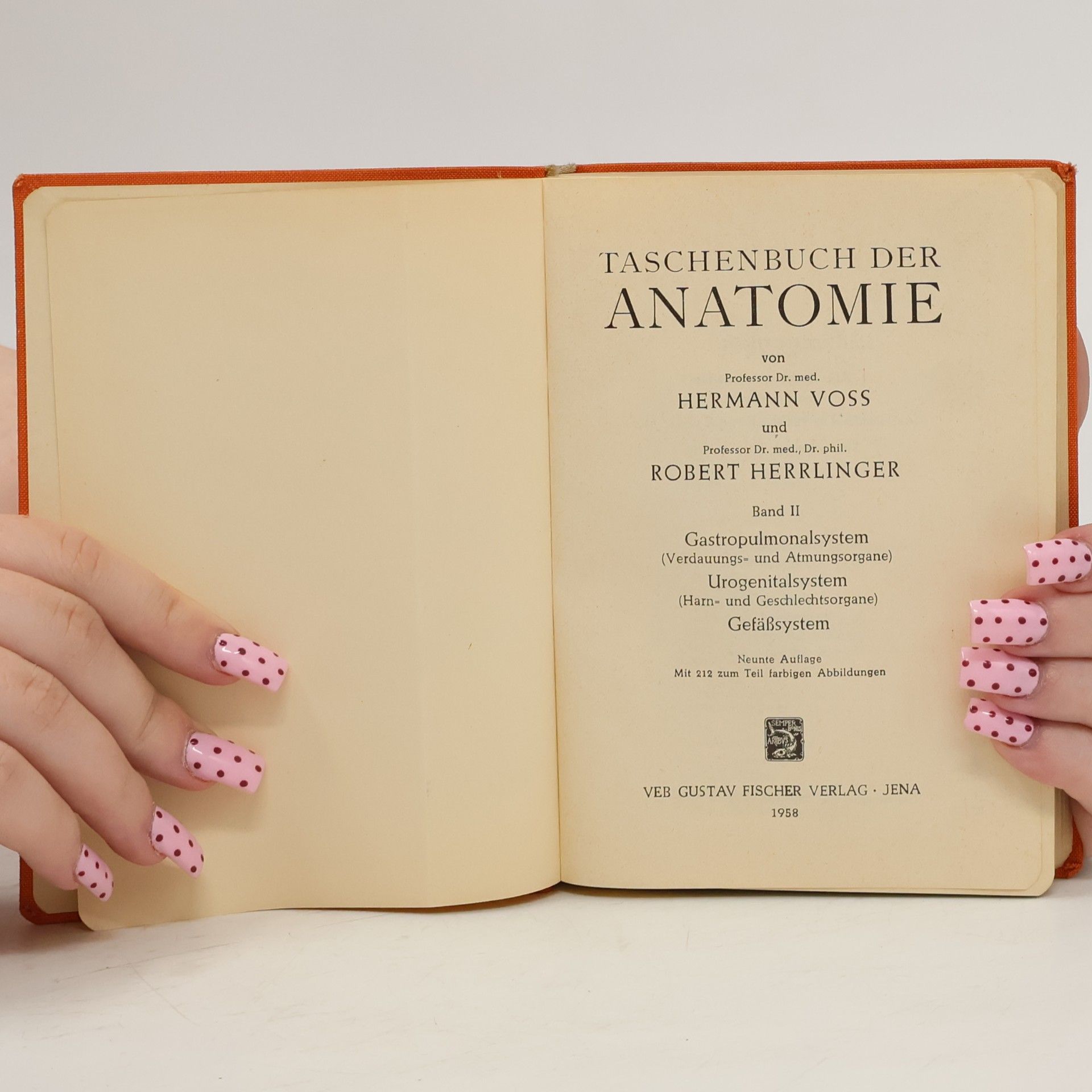 Hermann Voss Taschenbuch der Anatomie. Band II