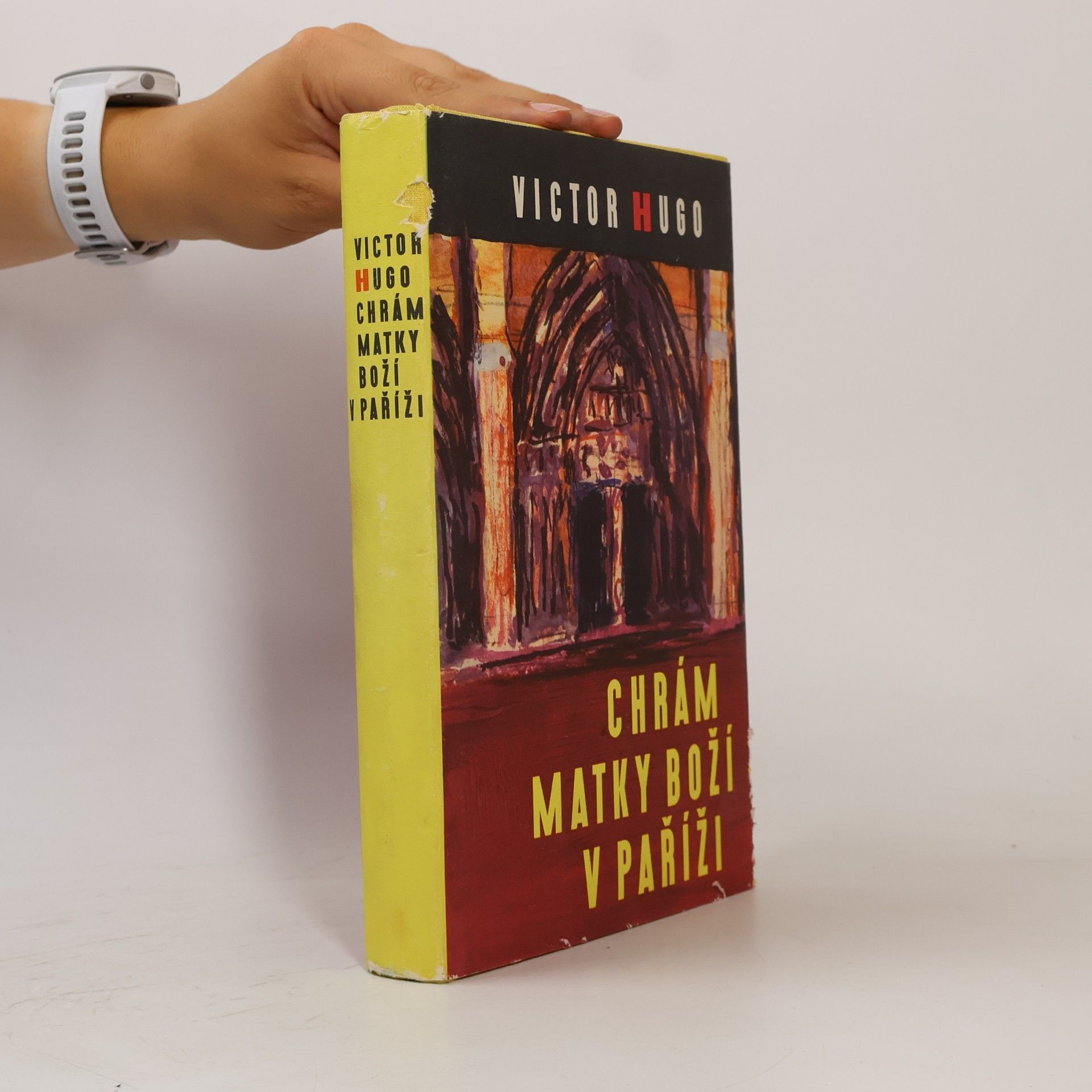 Victor Hugo Chrám Matky Boží v Paříži