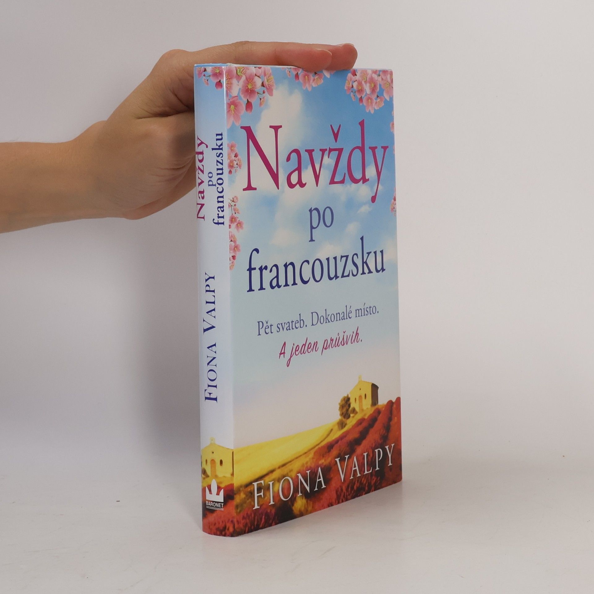 Fiona Valpy Navždy po francouzsku