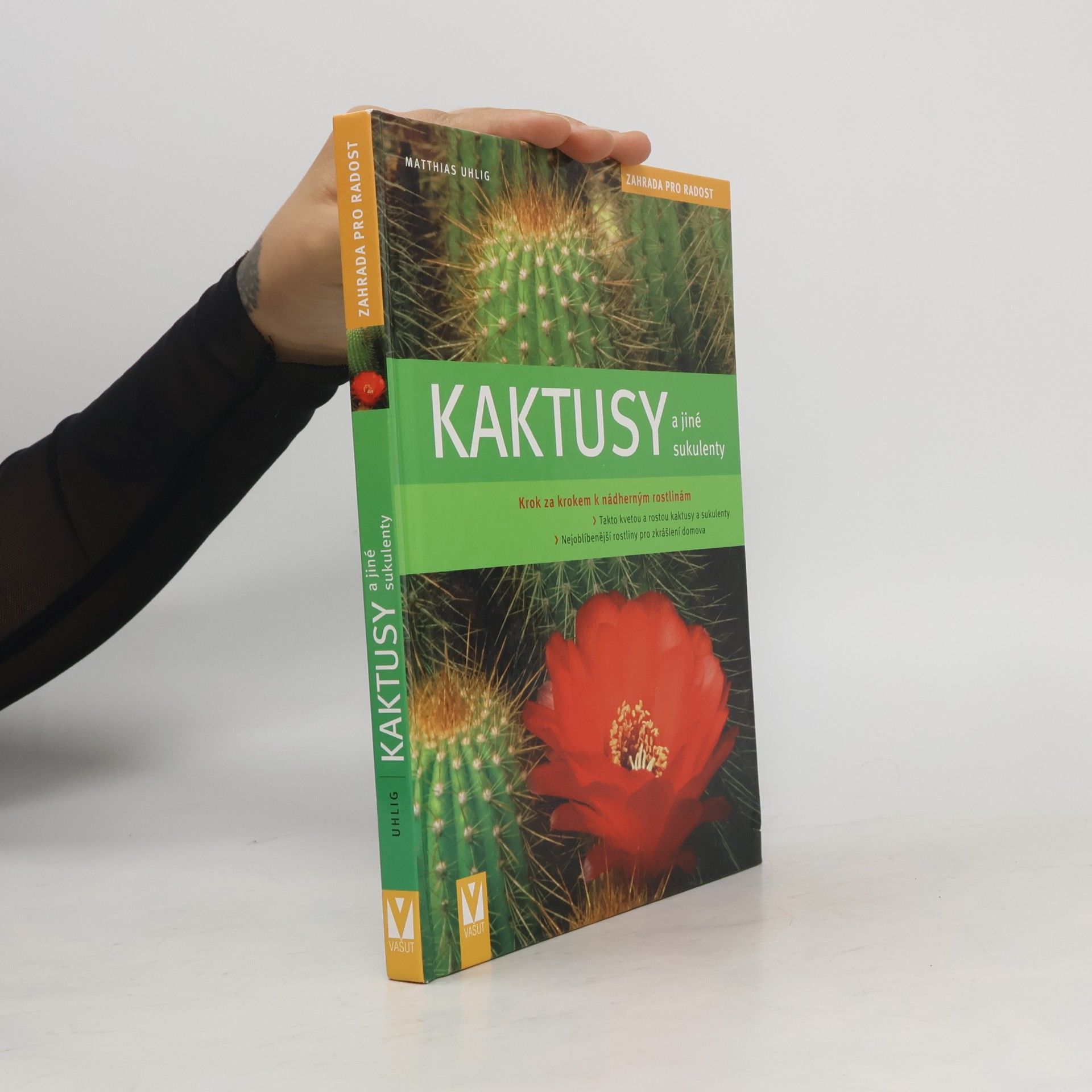 Kaktusy a jiné sukulenty