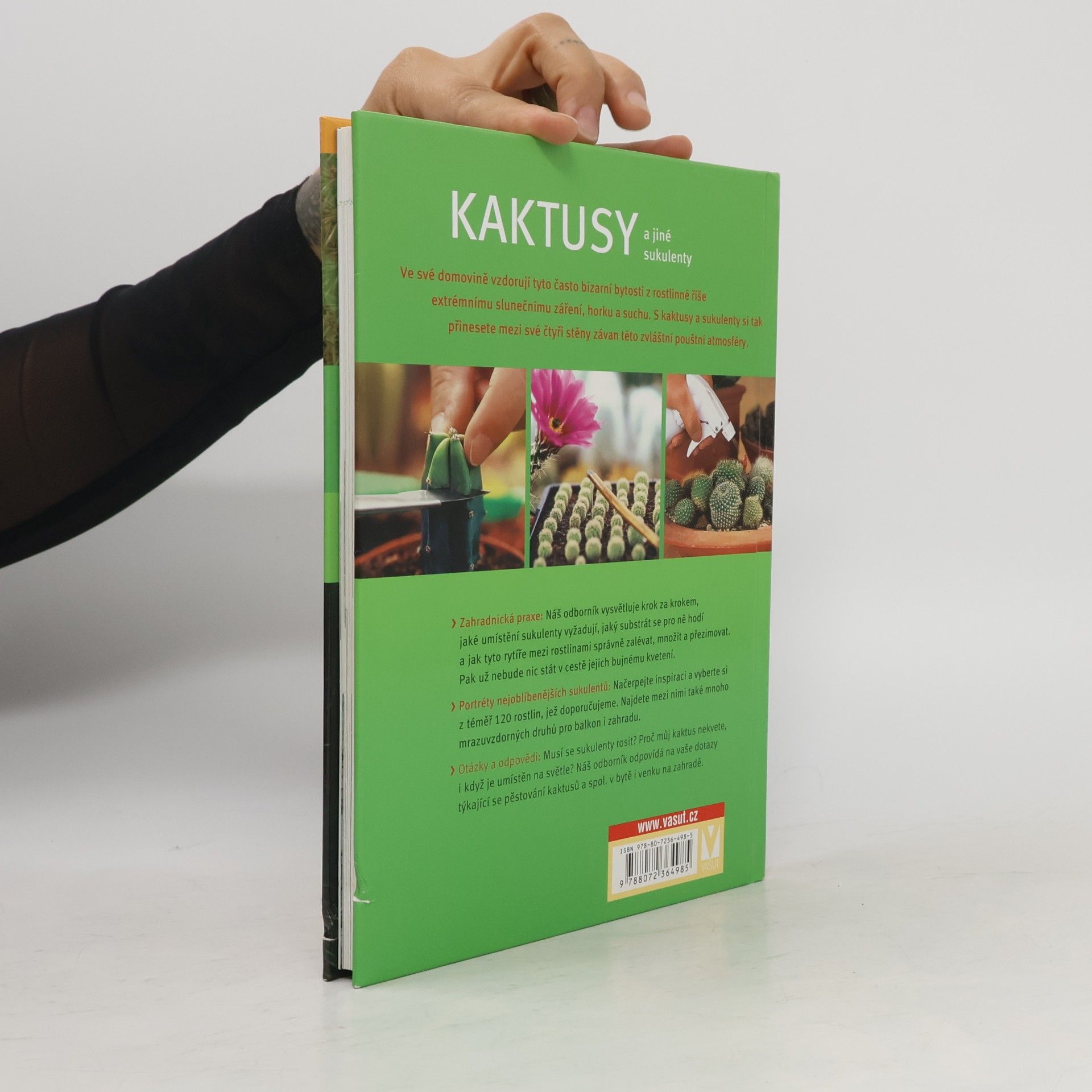Matthias Uhlig Kaktusy a jiné sukulenty