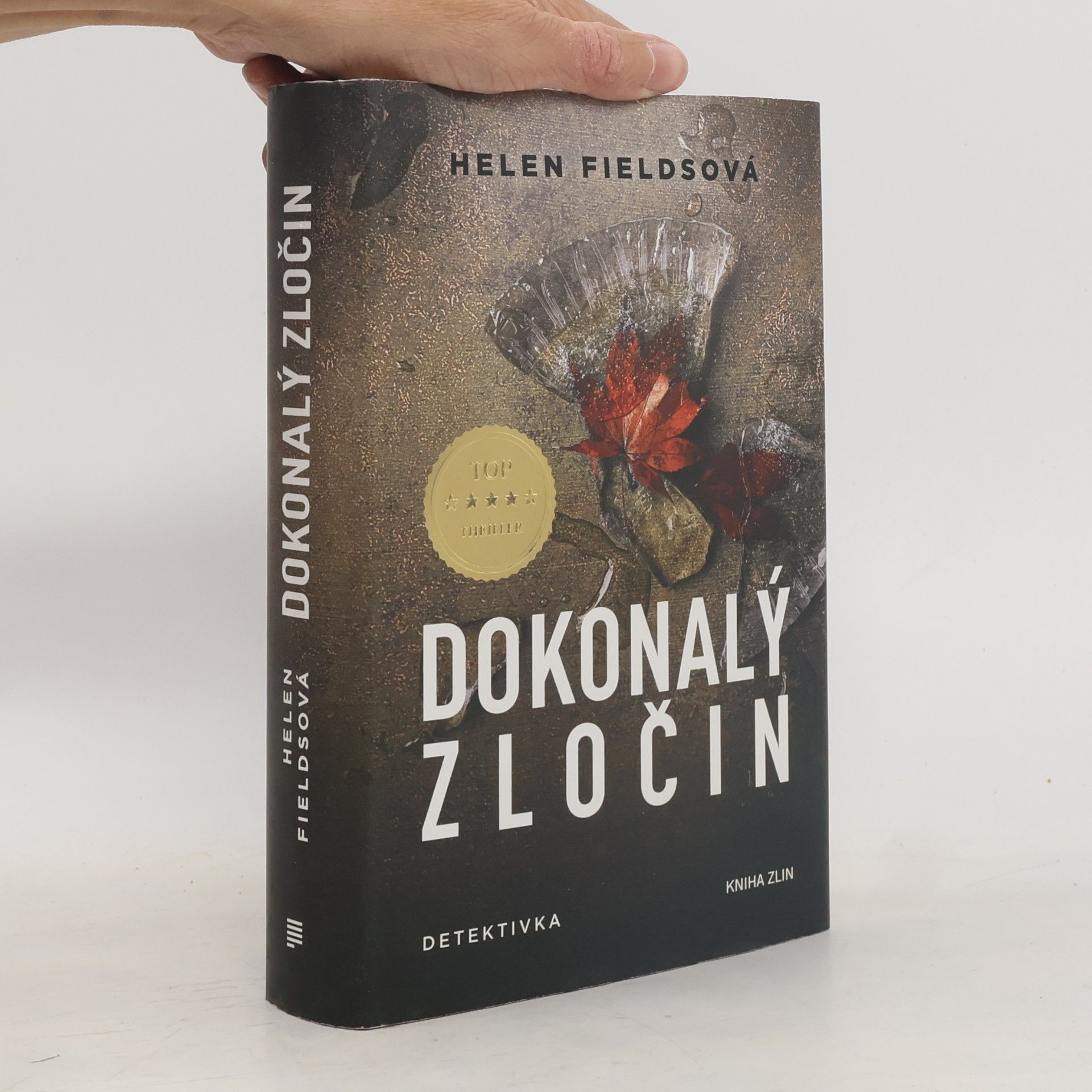 Helen Fields Dokonalý zločin
