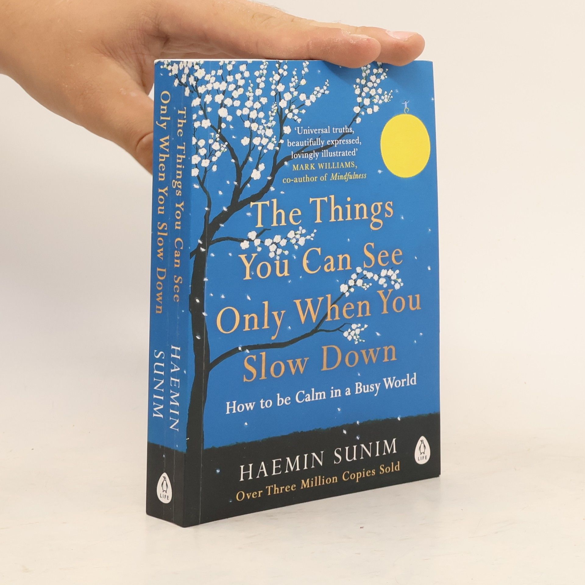 Sunim Haemin The Things You Can See Only When You Slow Down