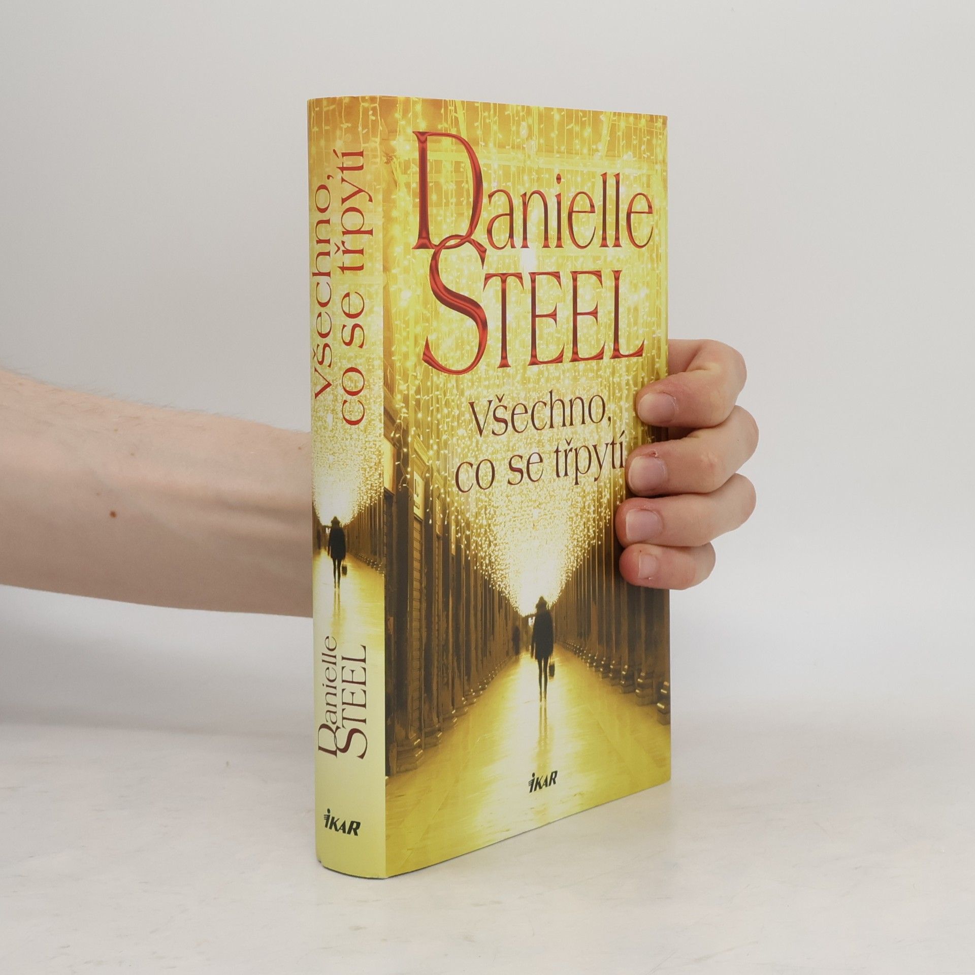 Danielle Steel Všechno, co se třpytí