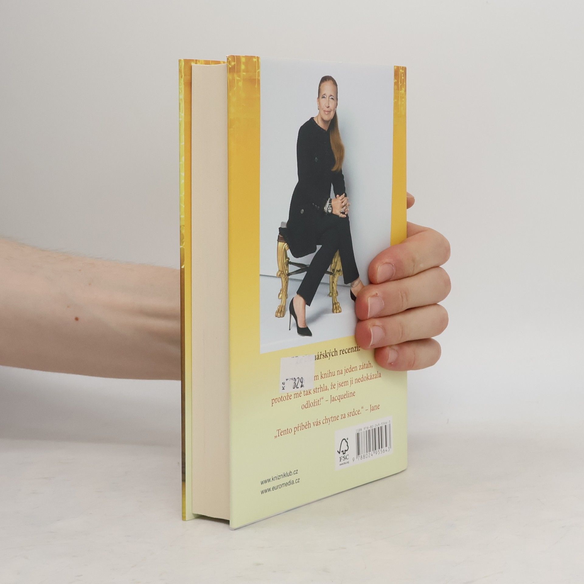 Danielle Steel Všechno, co se třpytí
