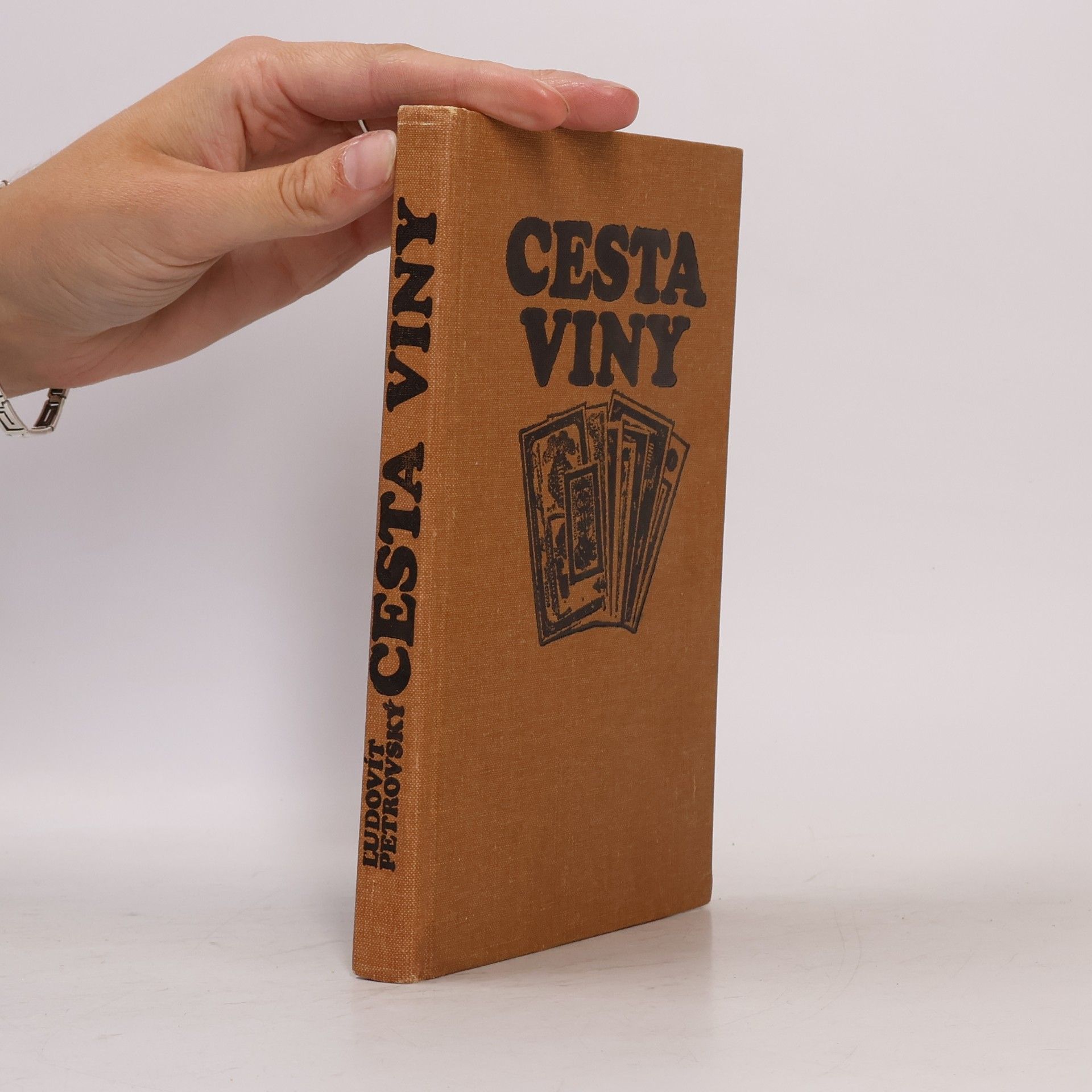 Ľudovít Petrovský Cesta viny