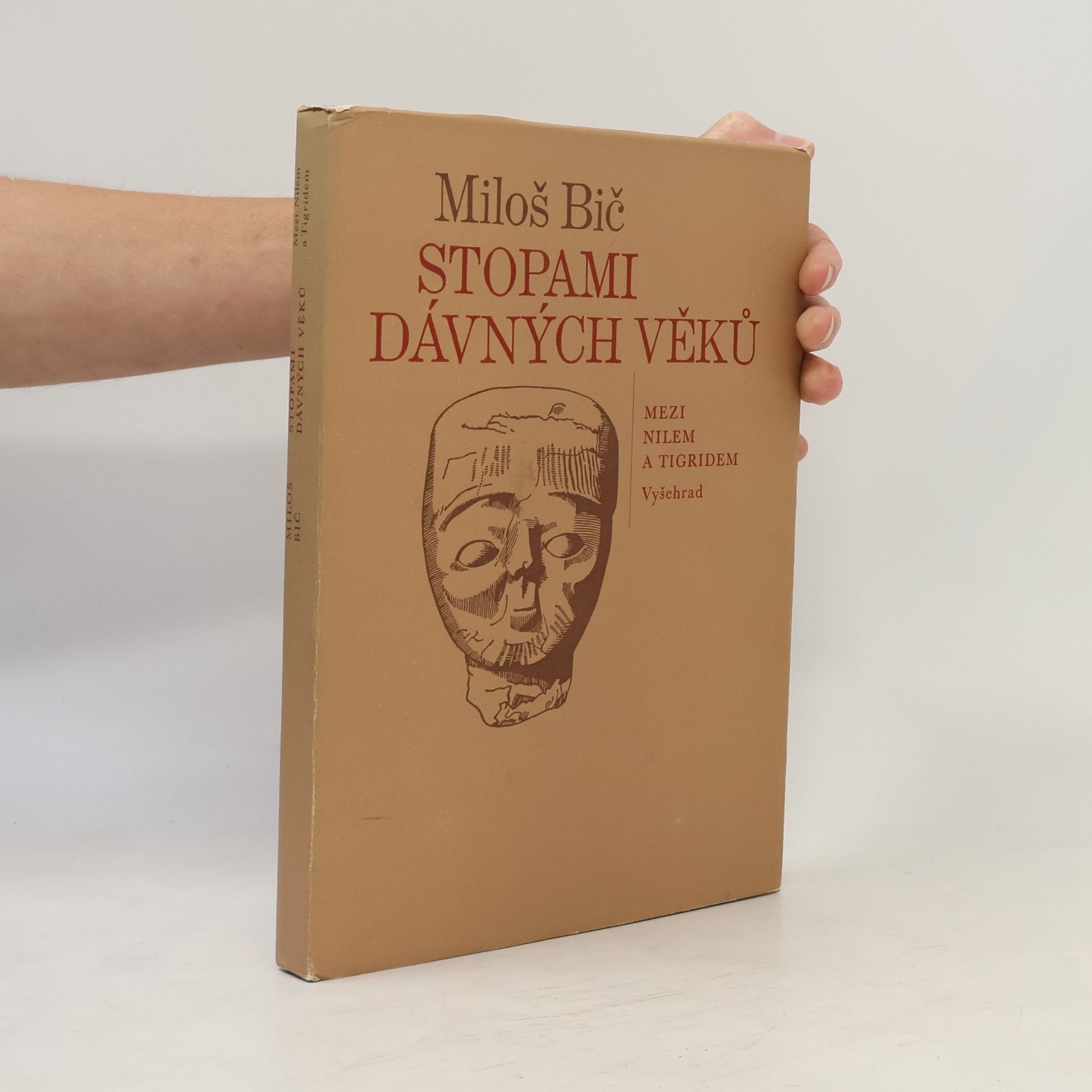 Stopami dávných věků