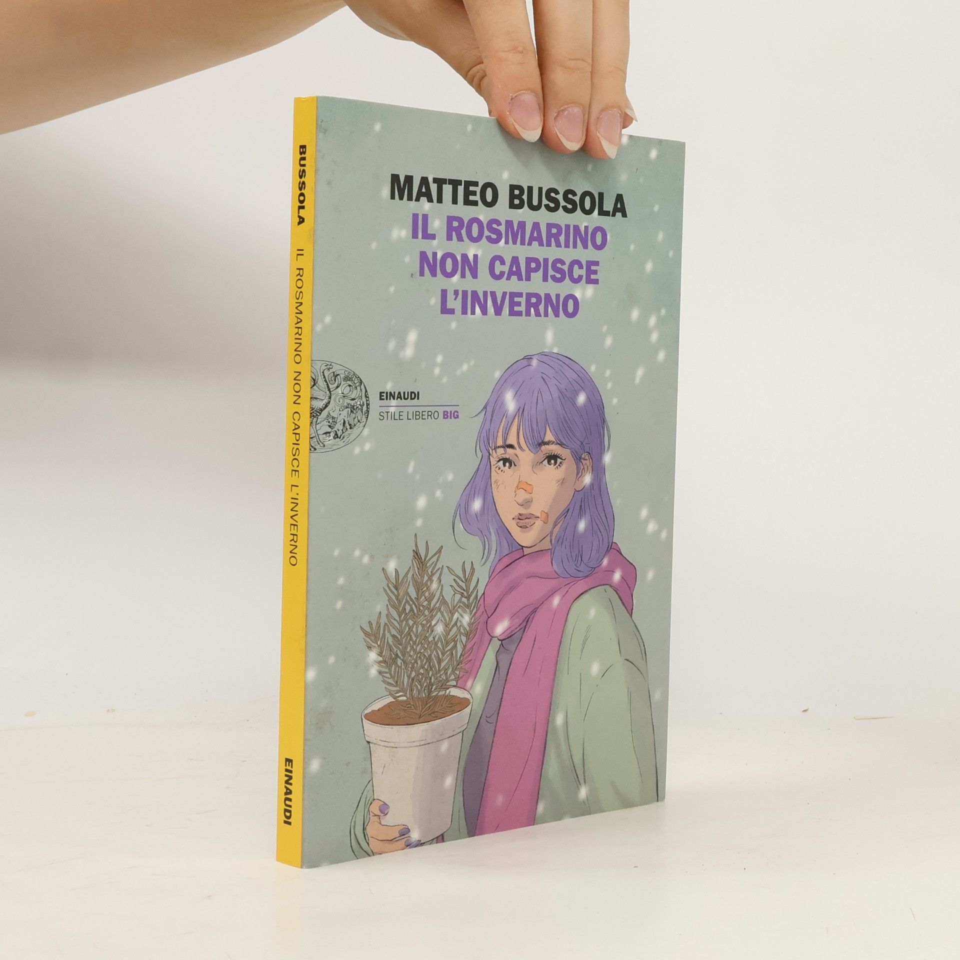 Il rosmarino non capisce l'inverno