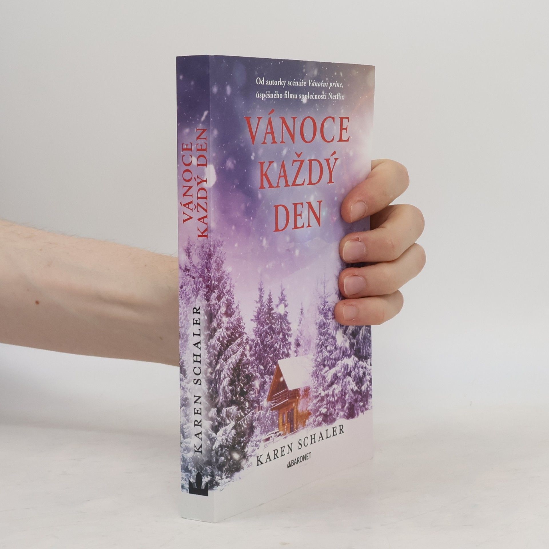 Karen Schaler Vánoce každý den
