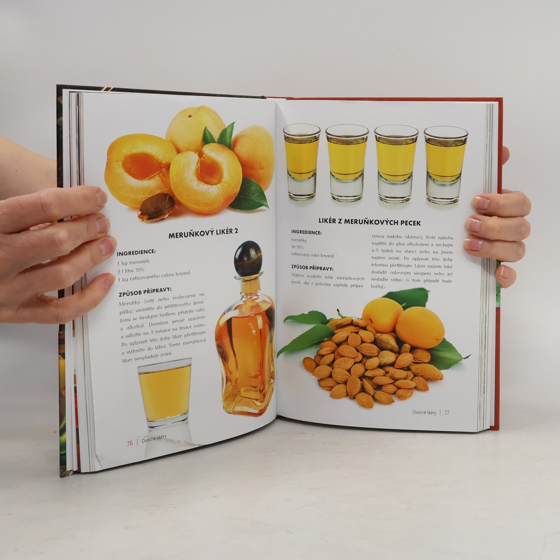Bogdan Heinz Domácí likéry a tinktury : recepty, ingredience, tipy