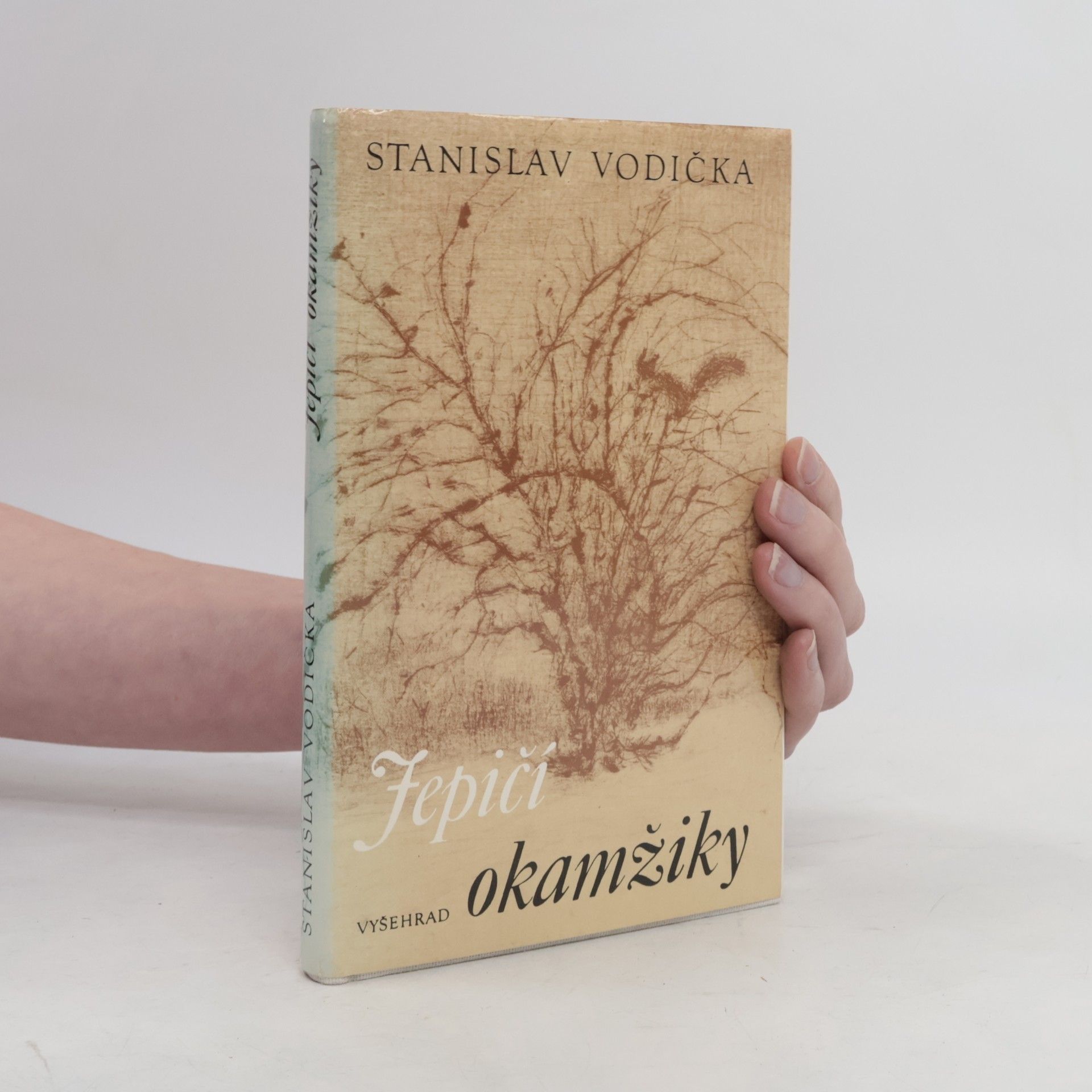 Stanislav Vodička Jepičí okamžiky