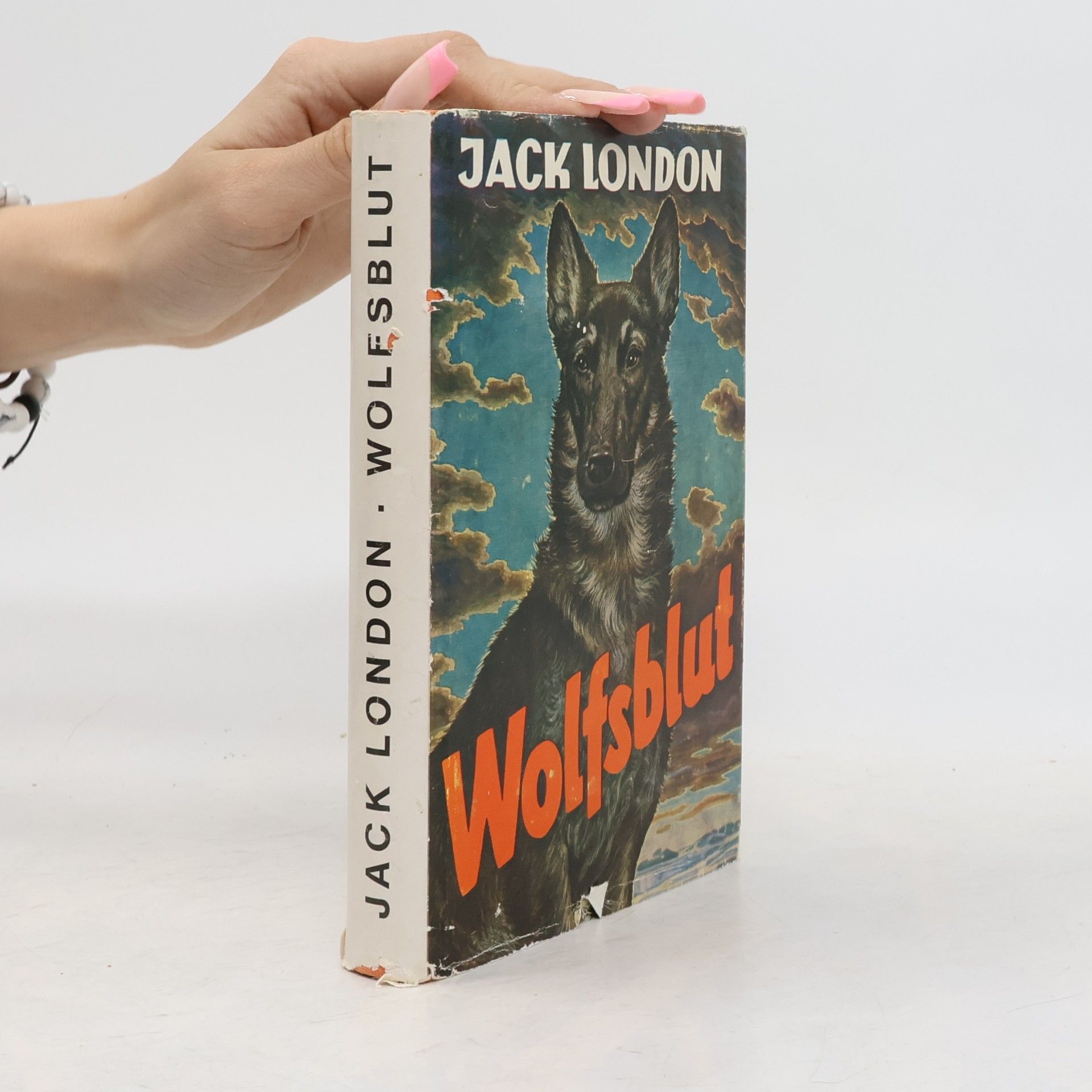 Jack London Wolfsblut