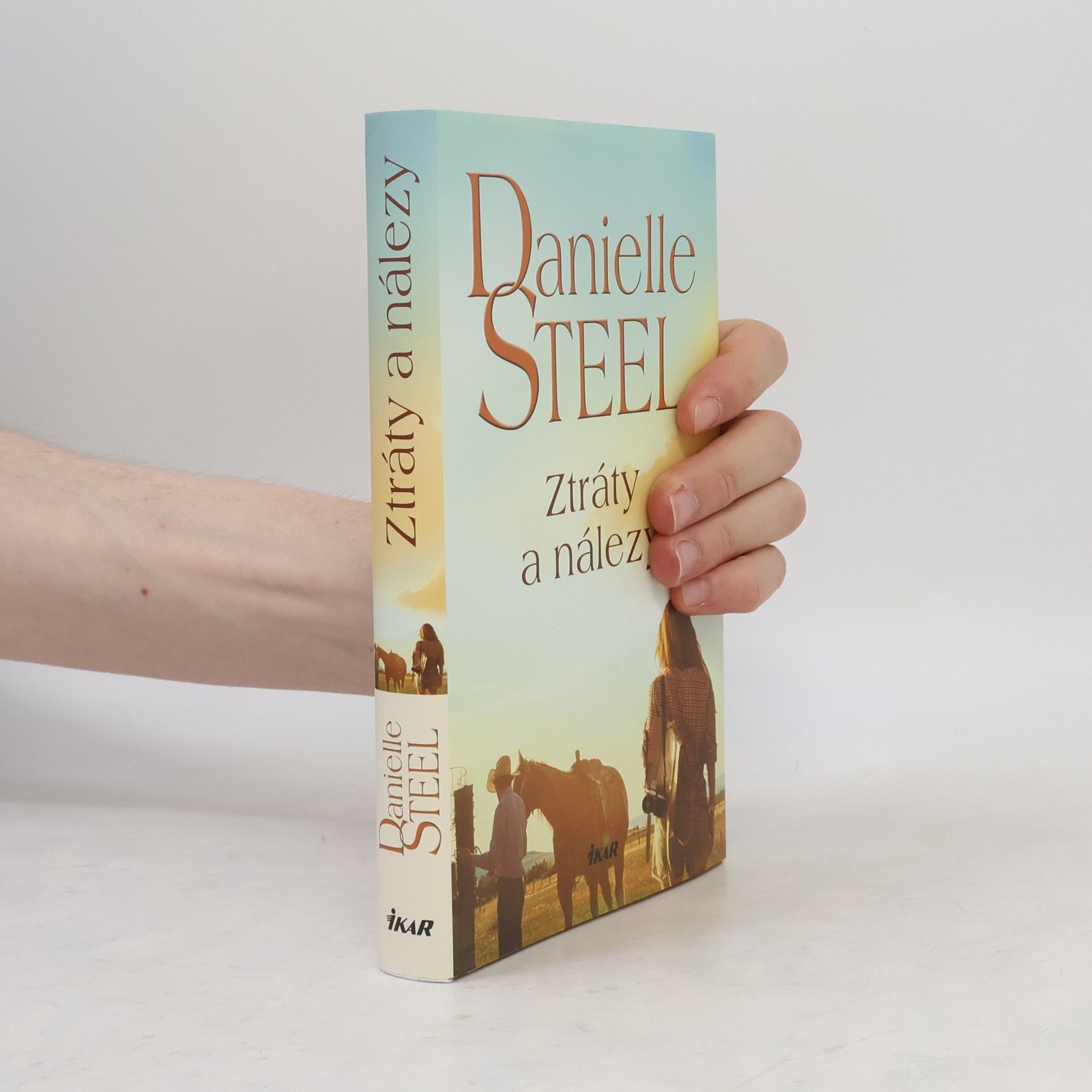 Danielle Steel Ztráty a nálezy