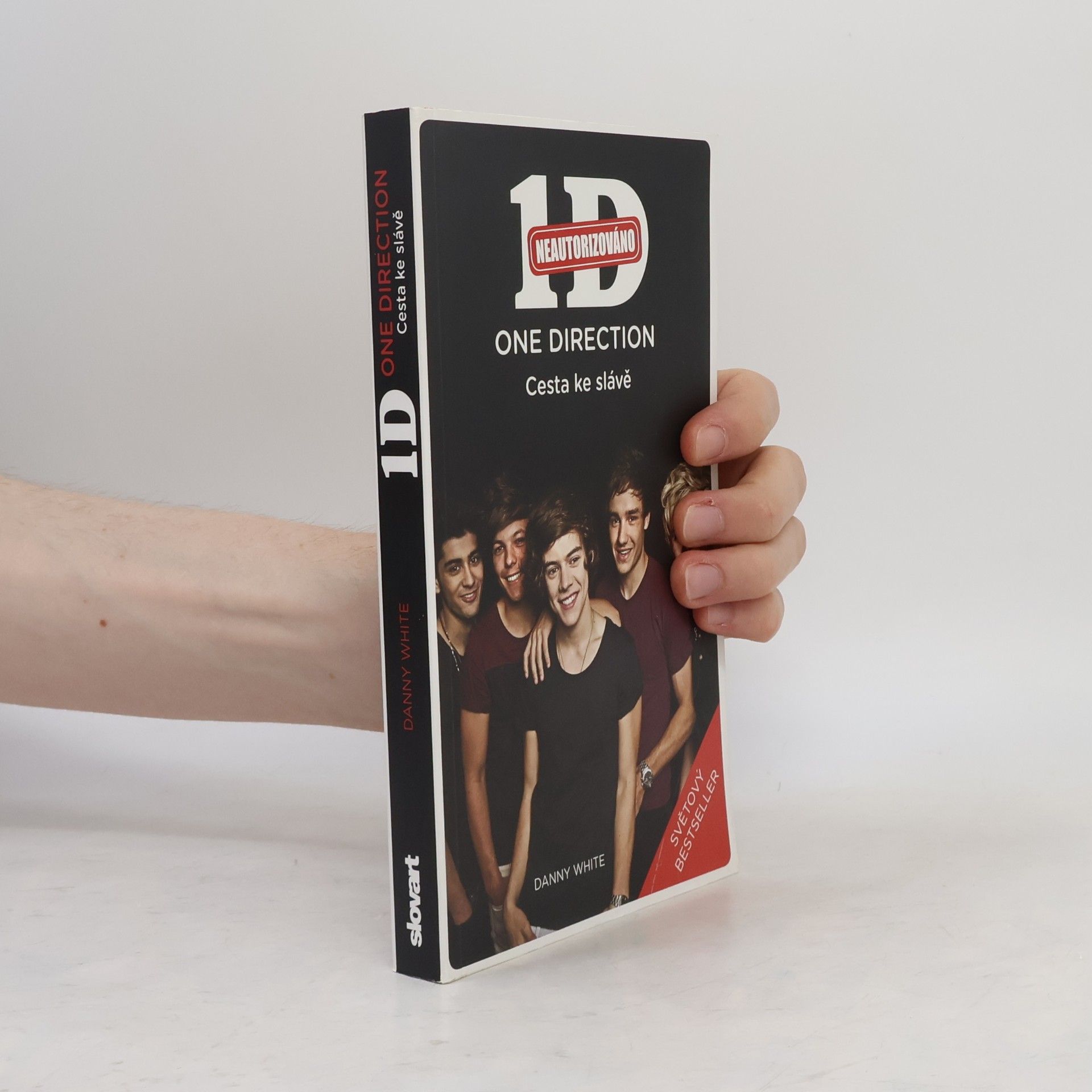 Danny White 1D - One Direction: Cesta ke slávě
