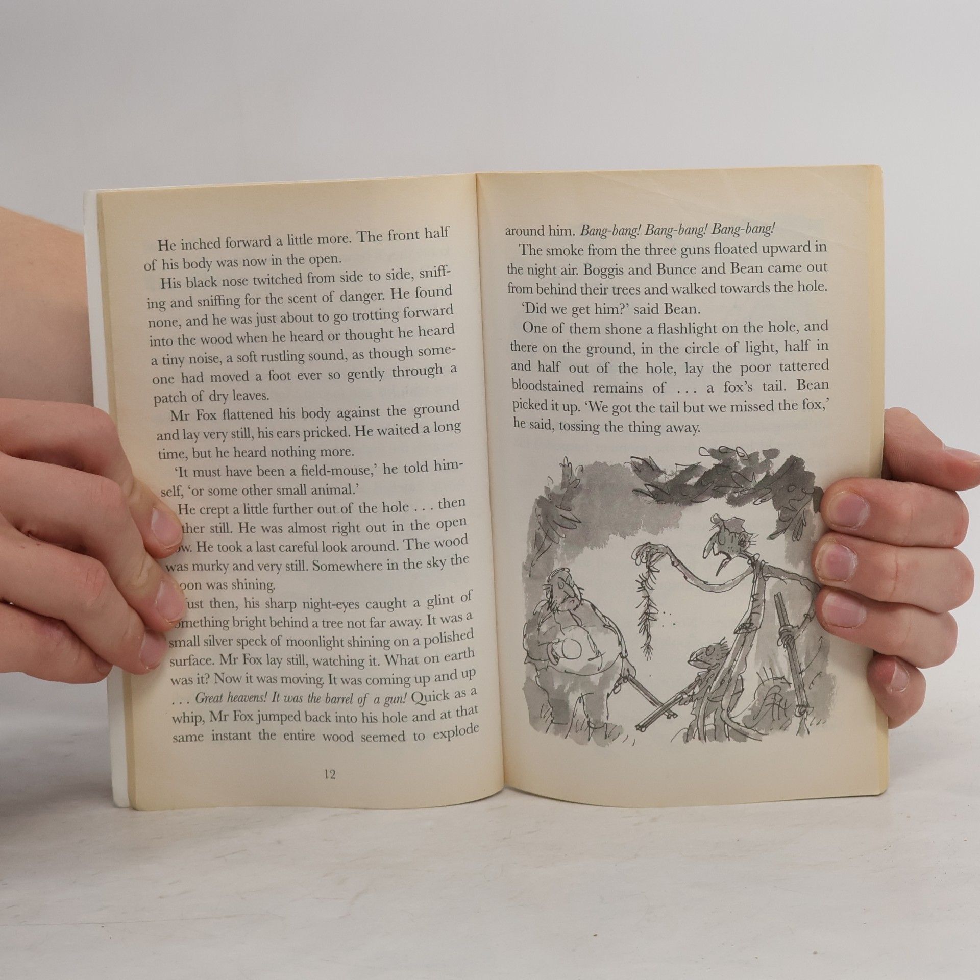 Roald Dahl Fantastic Mr. Fox