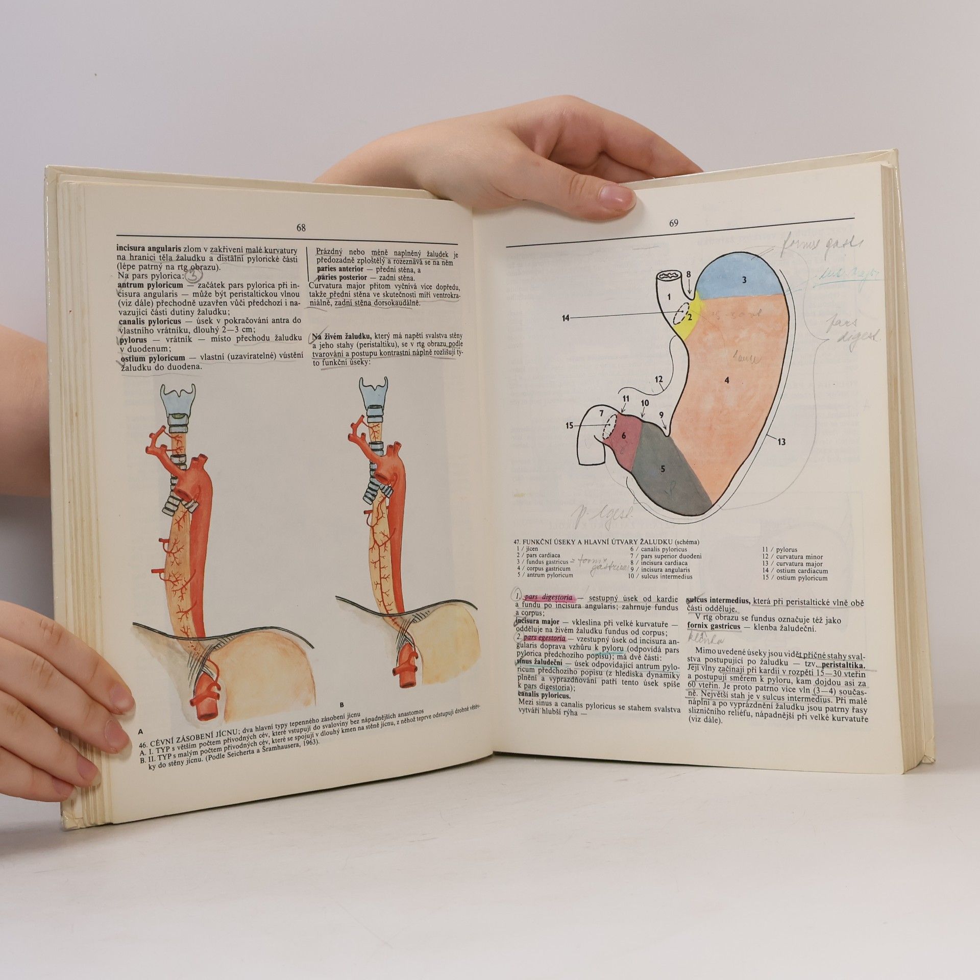 Radomír Čihák Anatomie 2